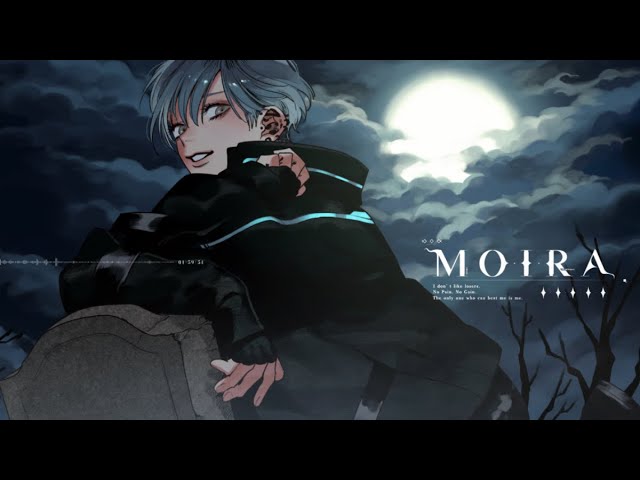 提供実績、noir