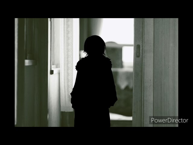 写真、bgm