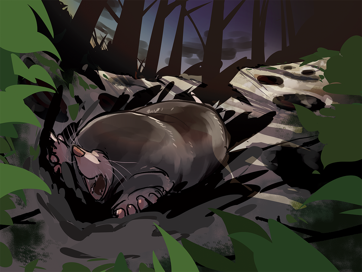 アニマルカードゲーム　 モグラパーツセット　墓地モグラ、狂乱モグラ アニマルカードゲーム モグラパーツセット 墓地モグラ、狂乱