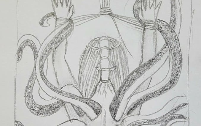 When tentacle waifu is tied up