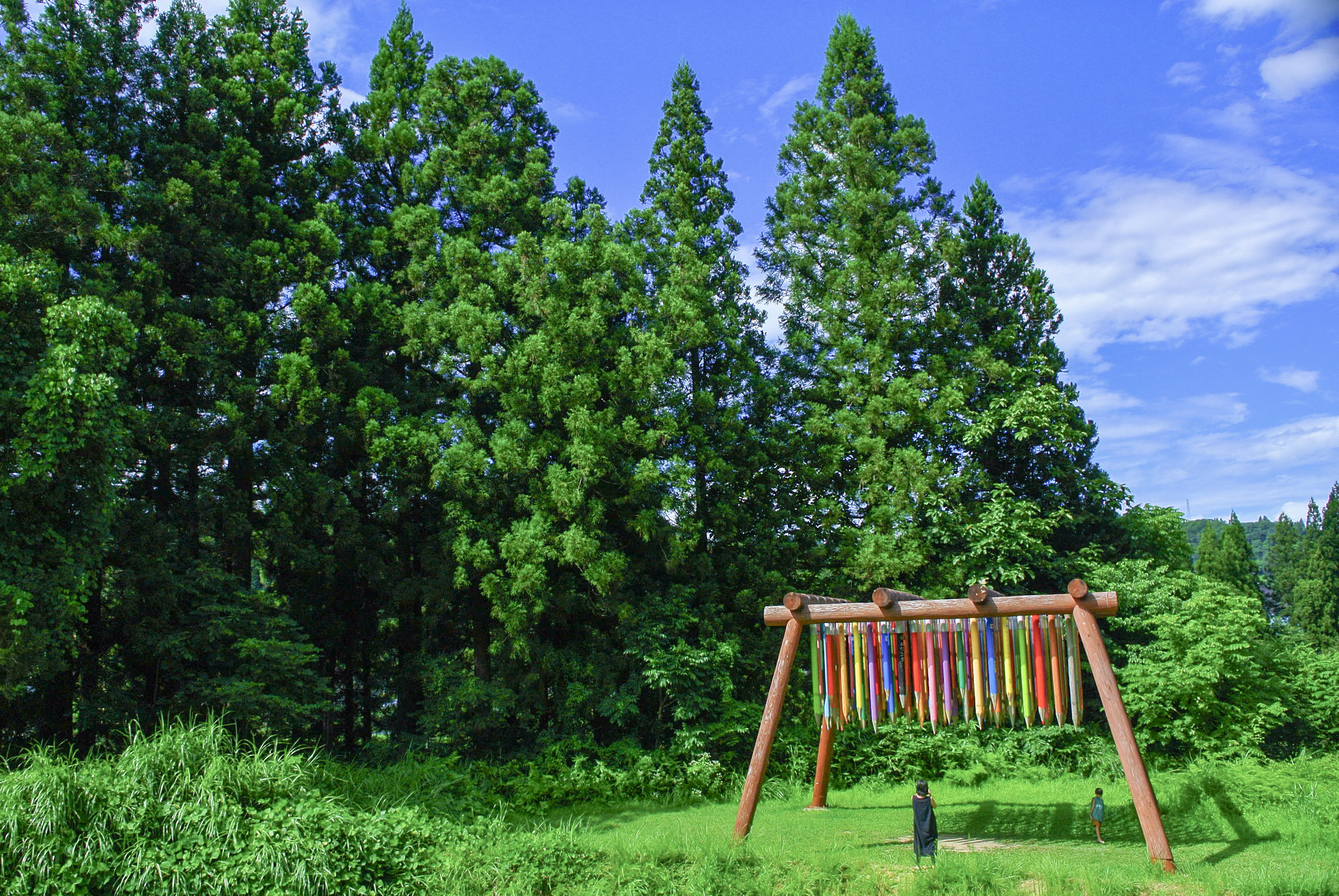 【Photography】自然とアートの共鳴-1