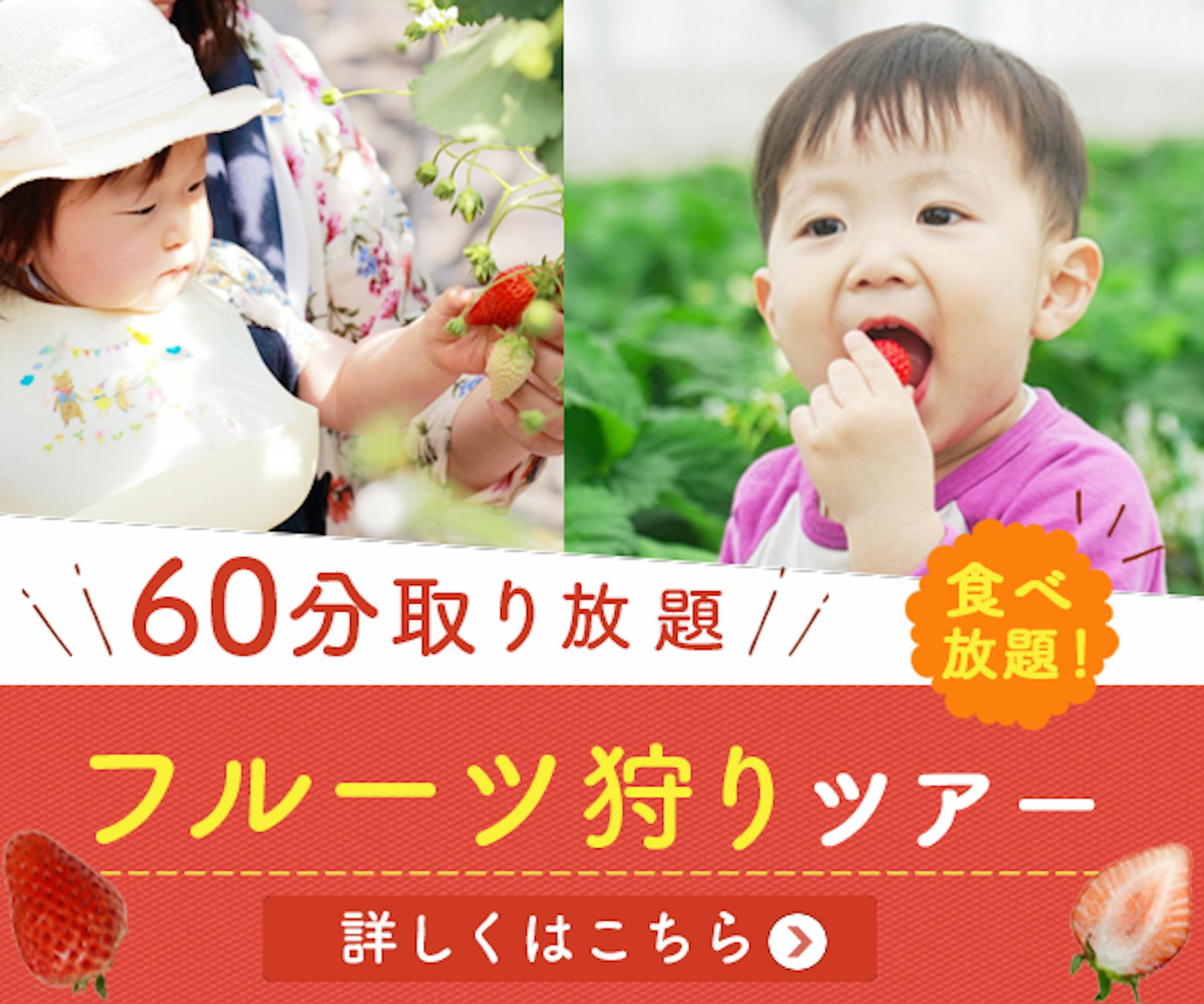 バナー　フルーツ狩りツアー-1