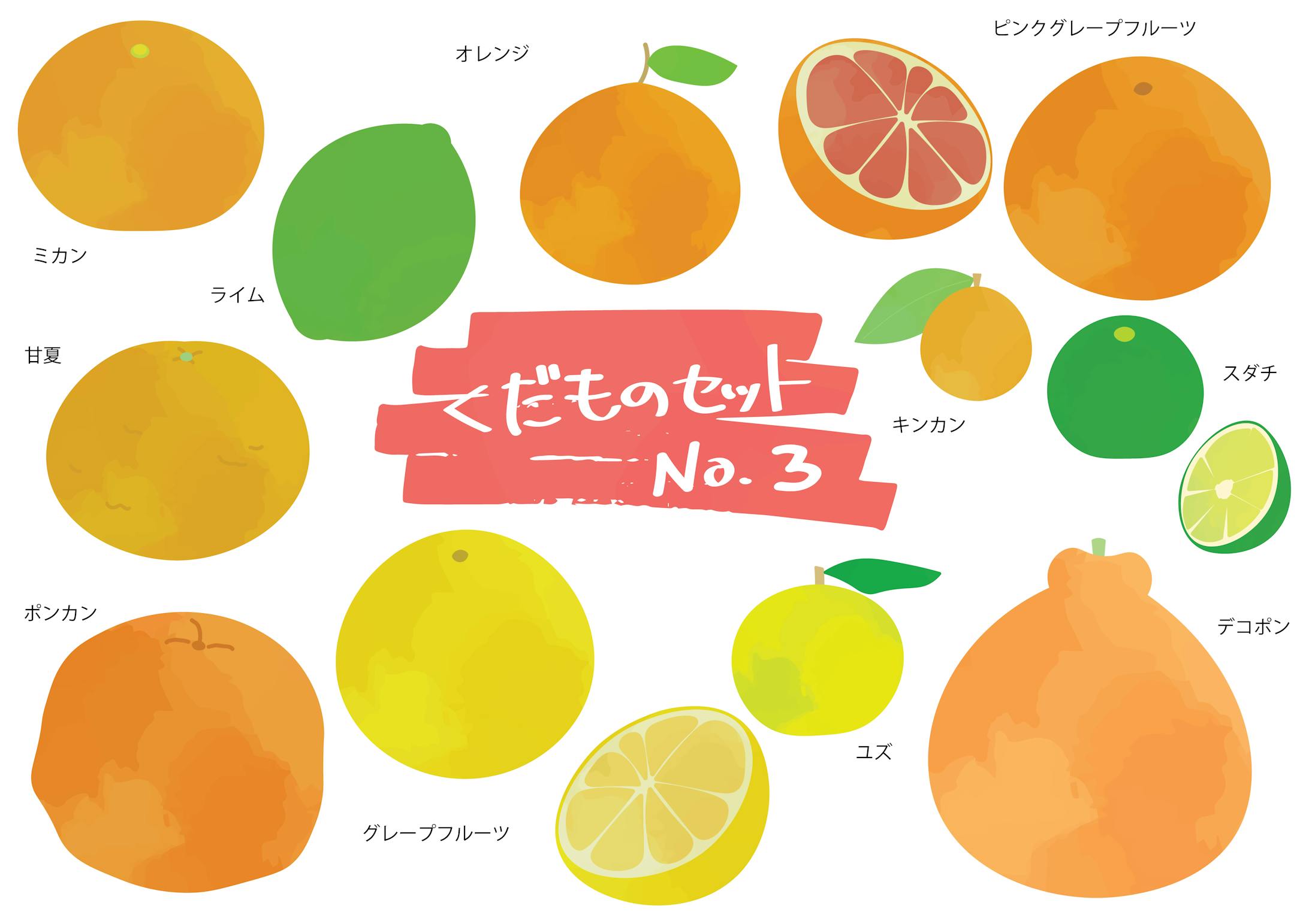 野菜 フルーツイラストセット 野菜 フルーツイラストセット