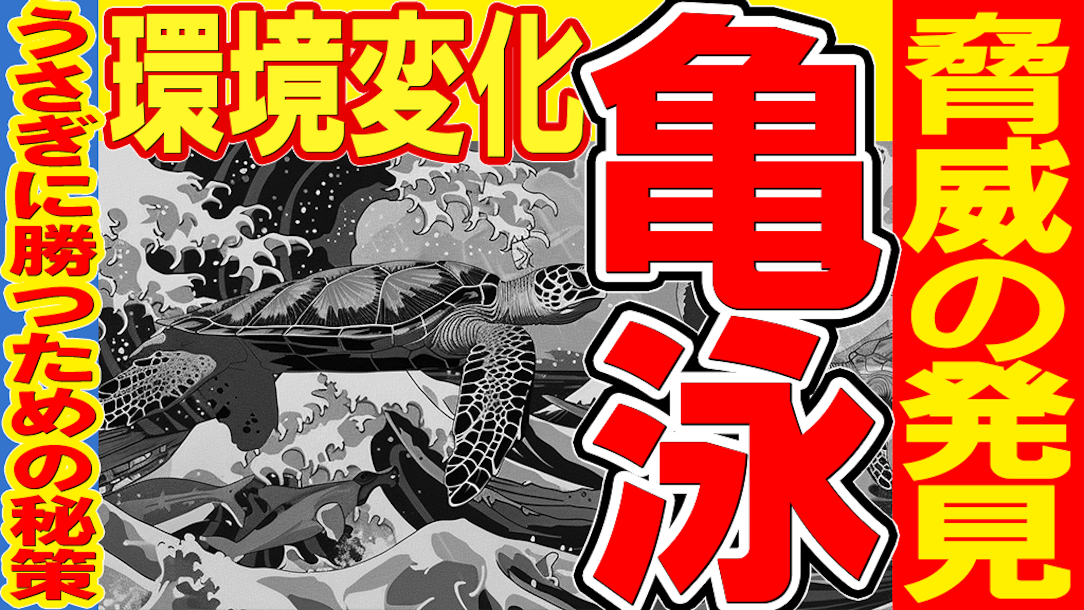 ポートフォリオ6-1