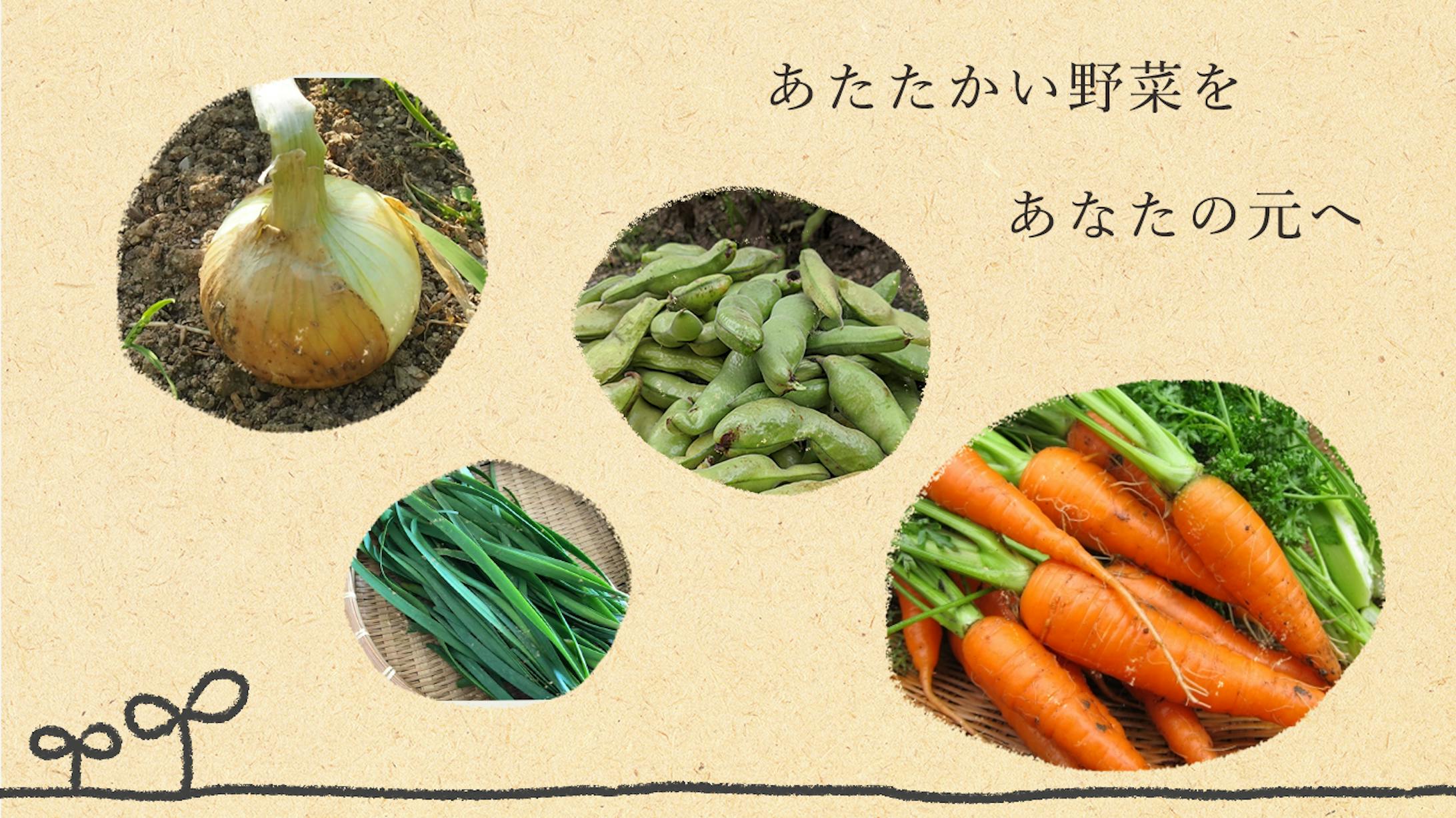 メインバナー ポートフォリオ 野菜のecサイト