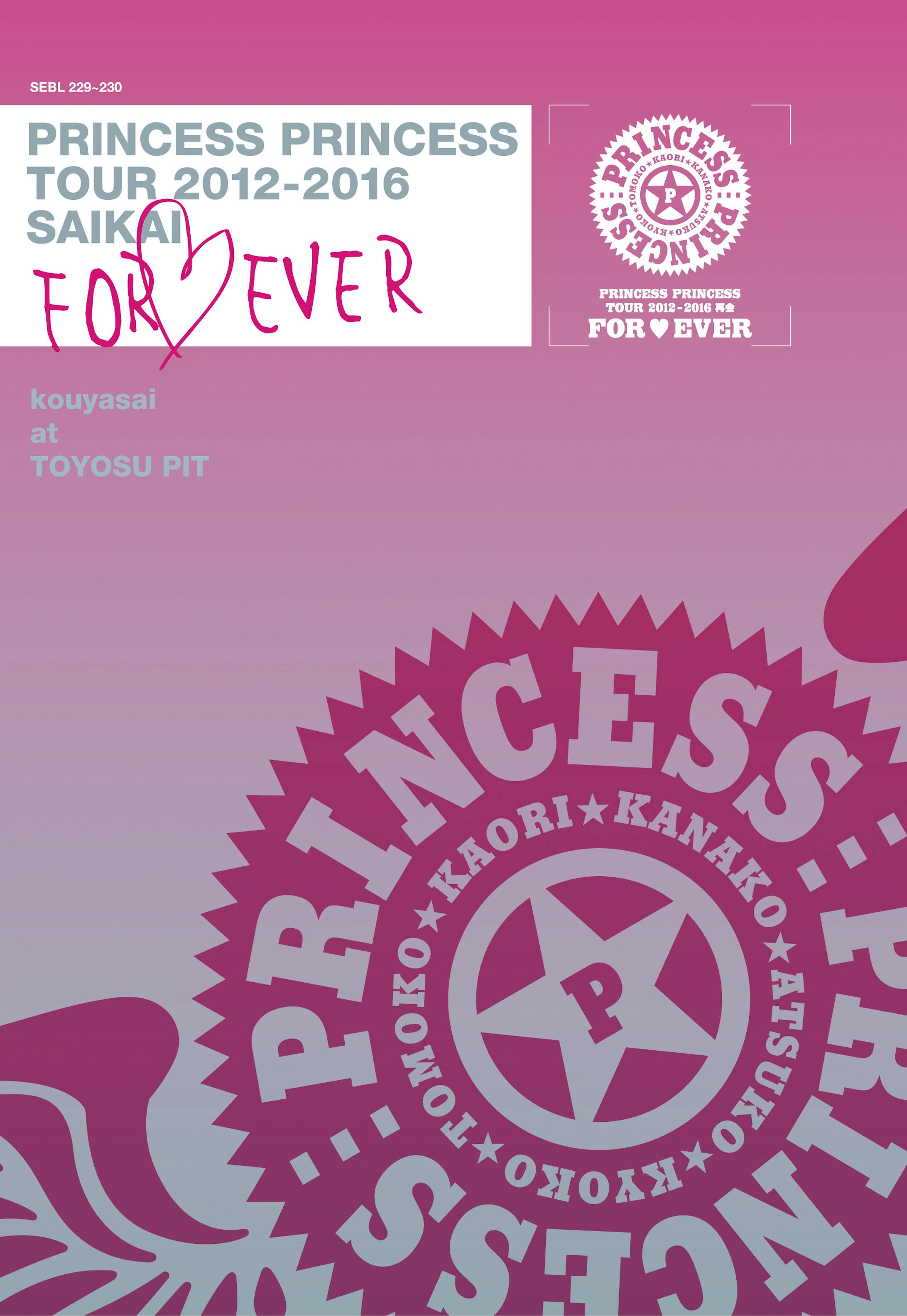 PRINCESS PRINCESS TOUR 2012-2016 SAIKAI / PRINCESS PRINCESS-1