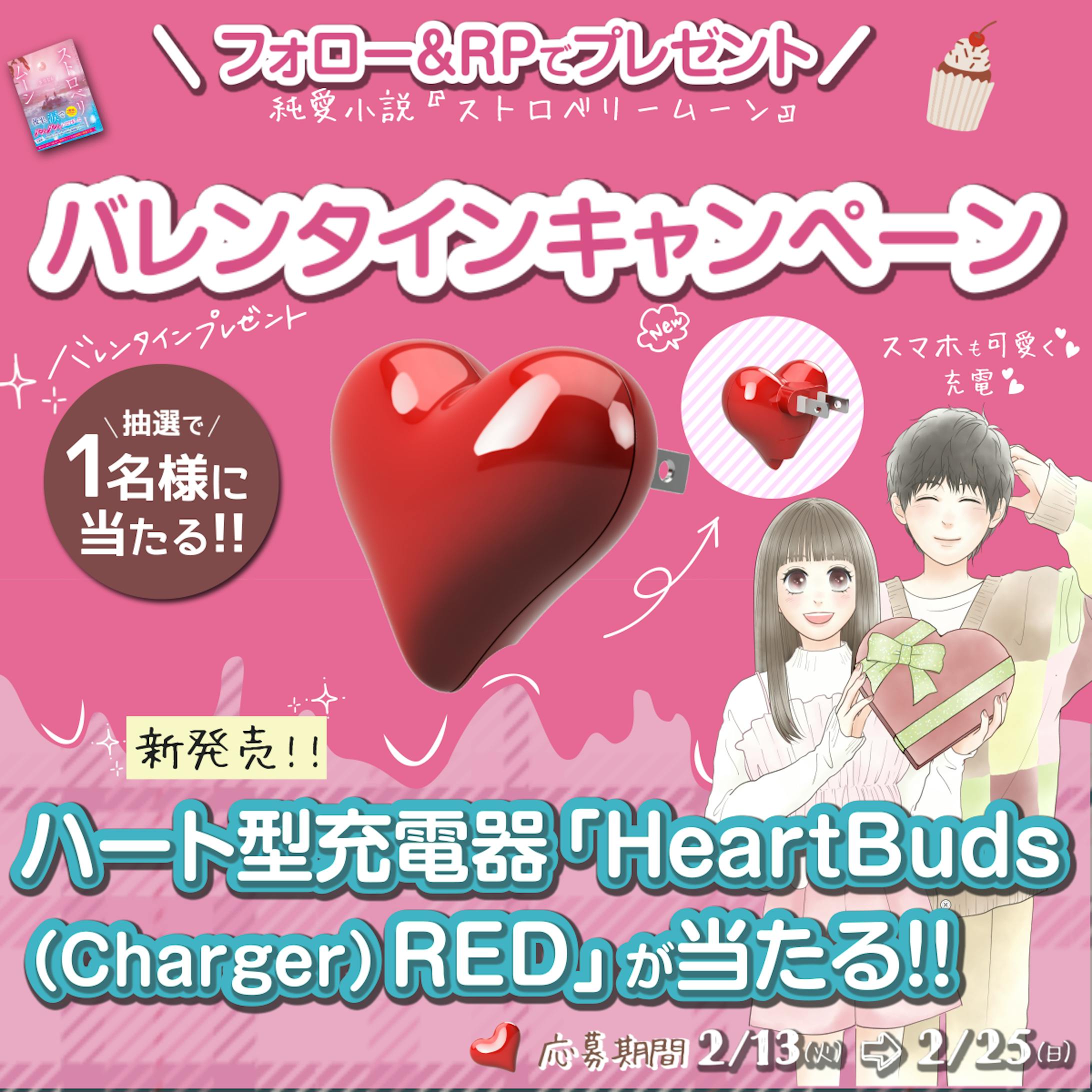 バレンタインキャンペーン-1