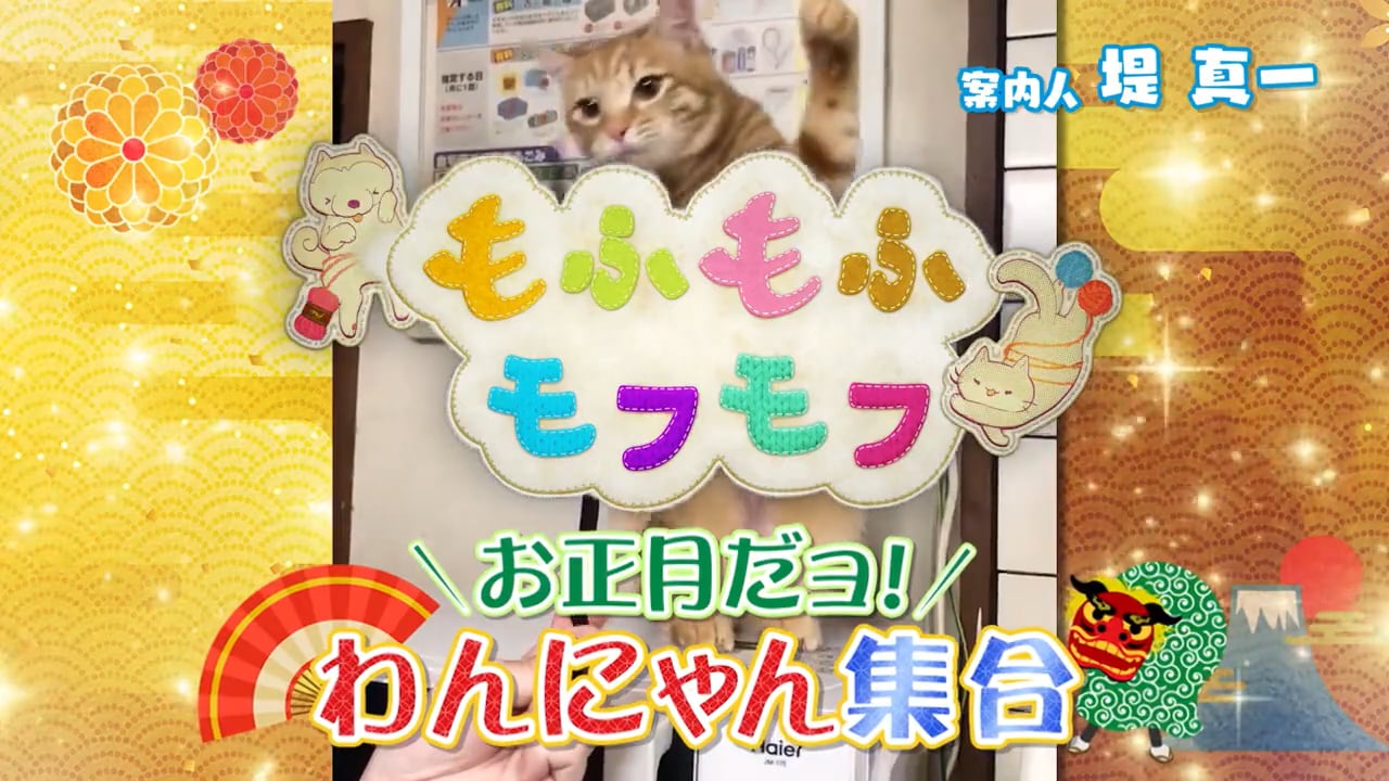 もふもふモフモフ お正月だョ！わんにゃん集合（2021年）