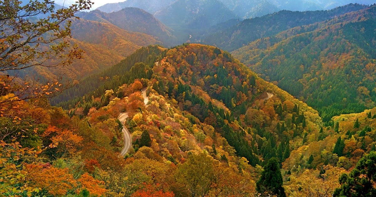 【レビュー】私が参考にしている面白い旅ブログを紹介する。