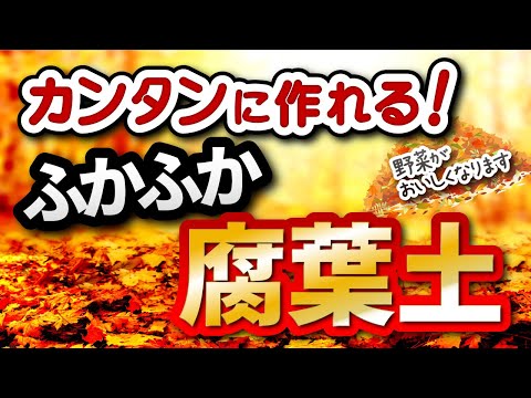 cg、音声