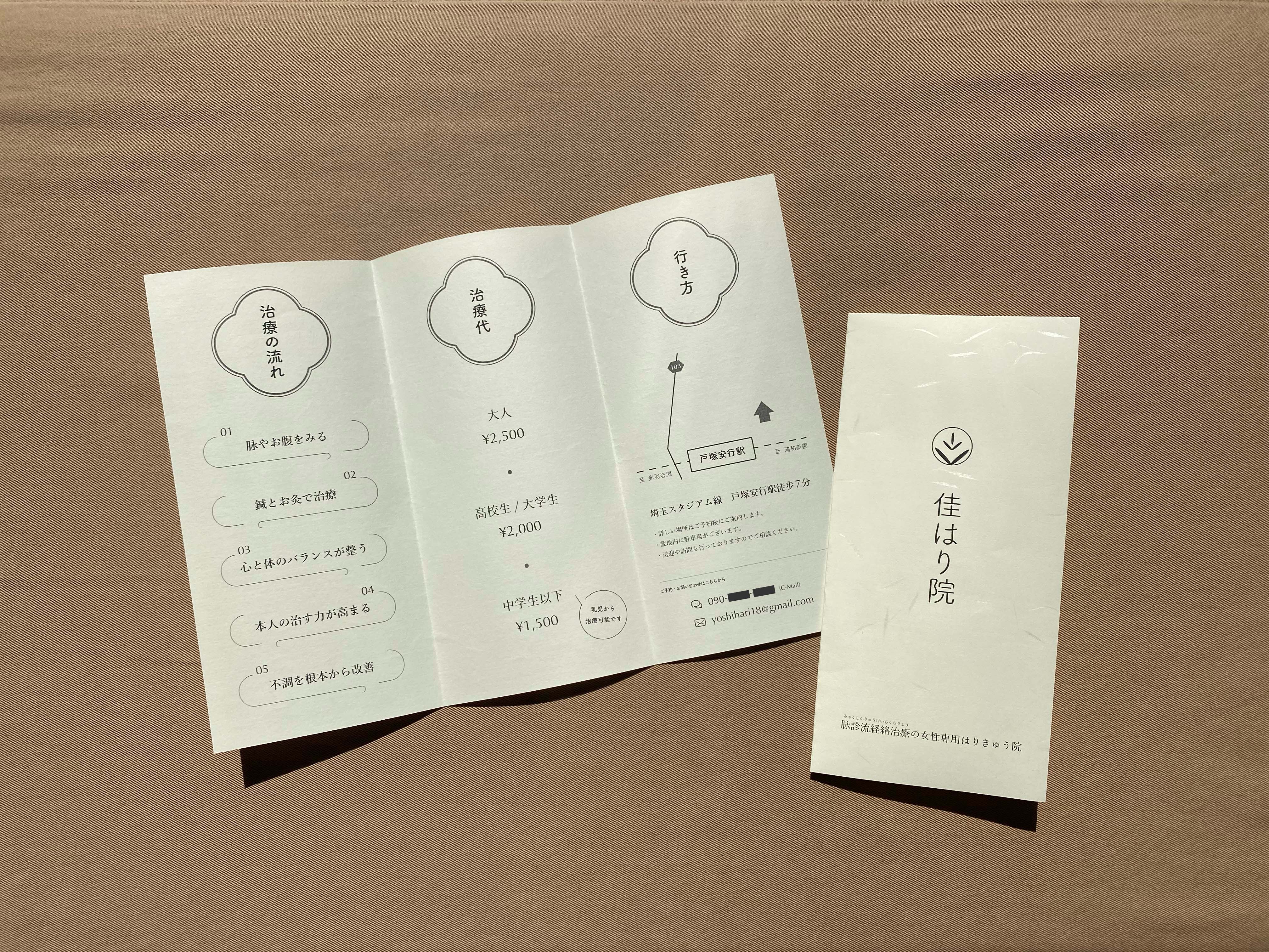 ケプシアLPリーフレット