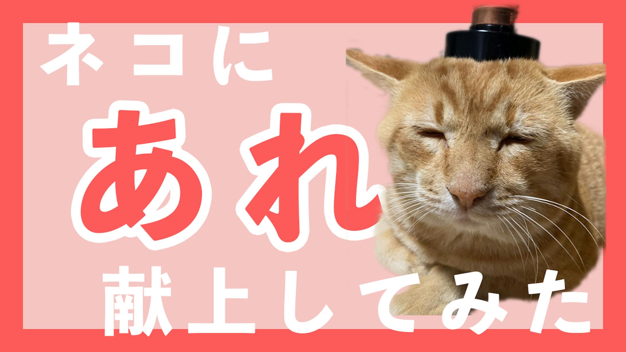 YouTube風サムネイル-1