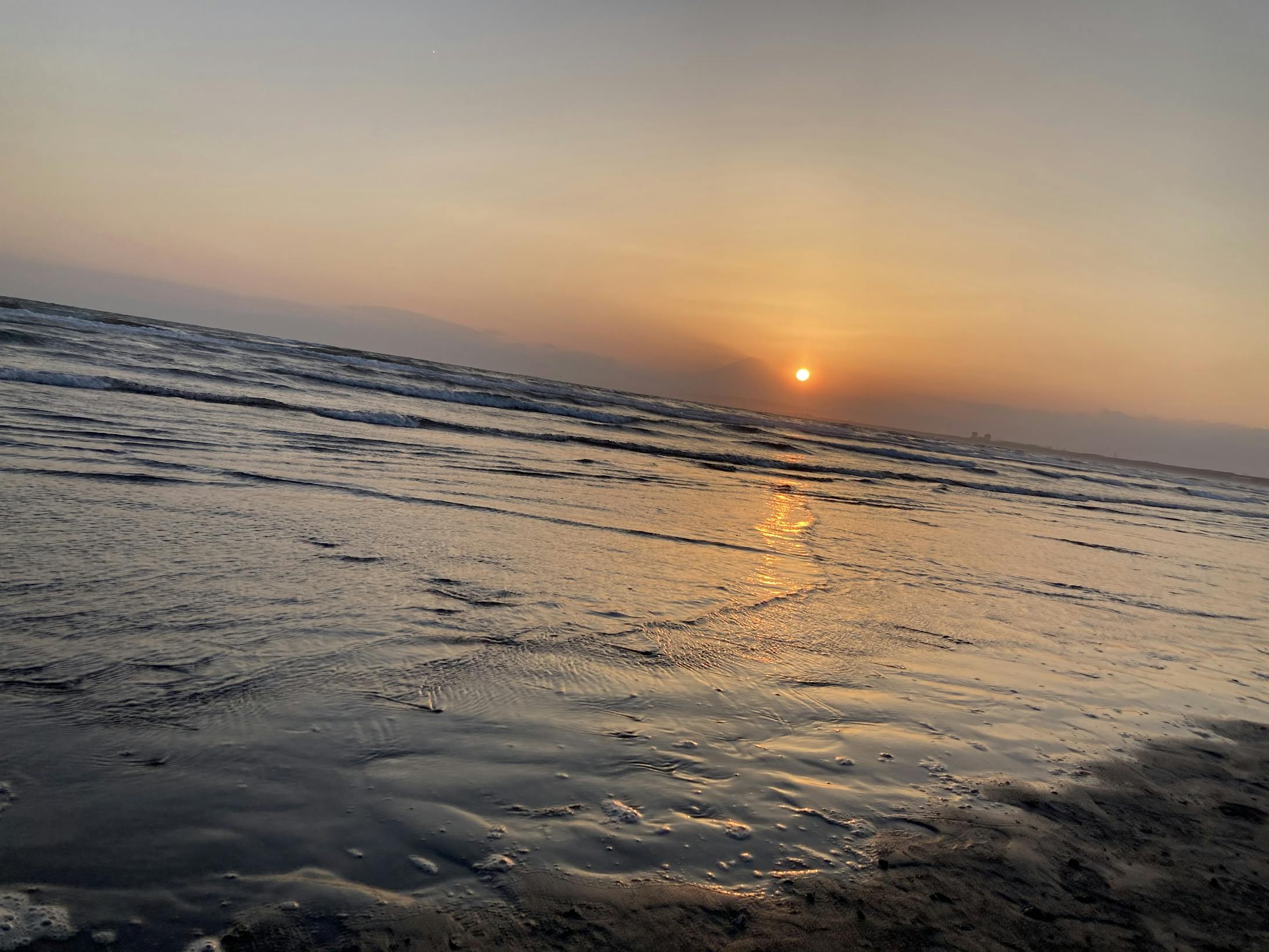 ヘッダー画像-1