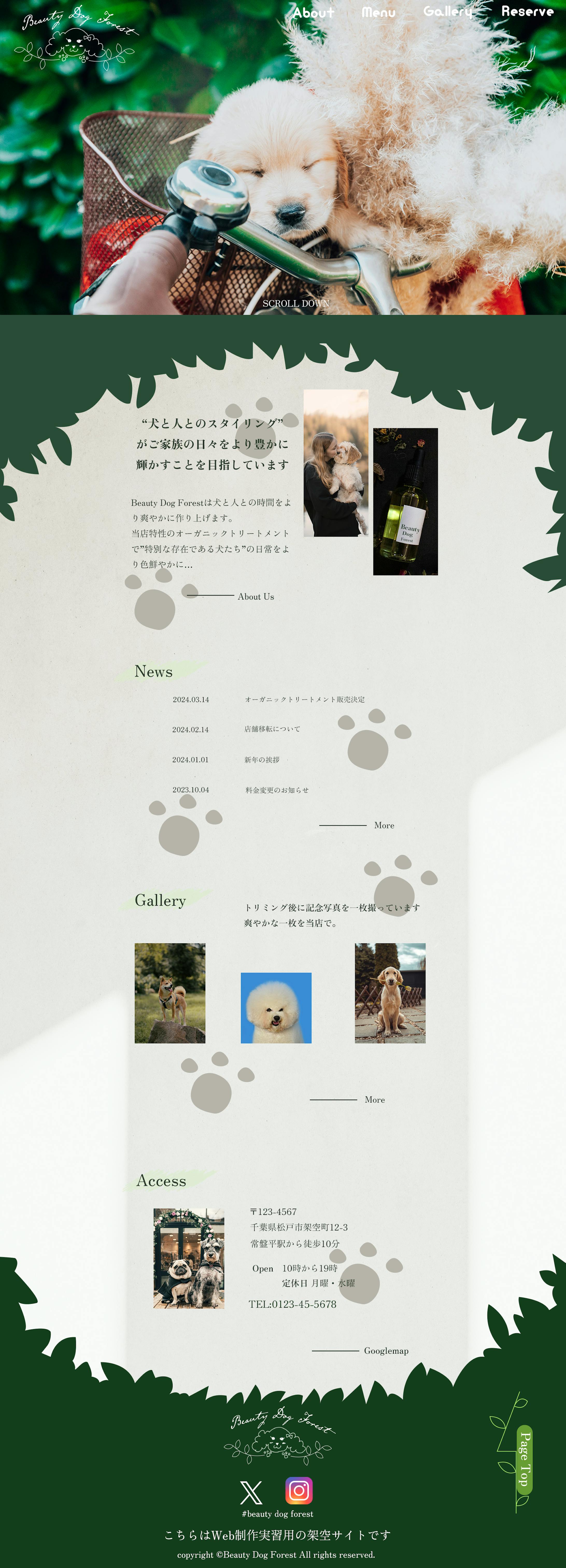 トリミングサロンカンプ-1