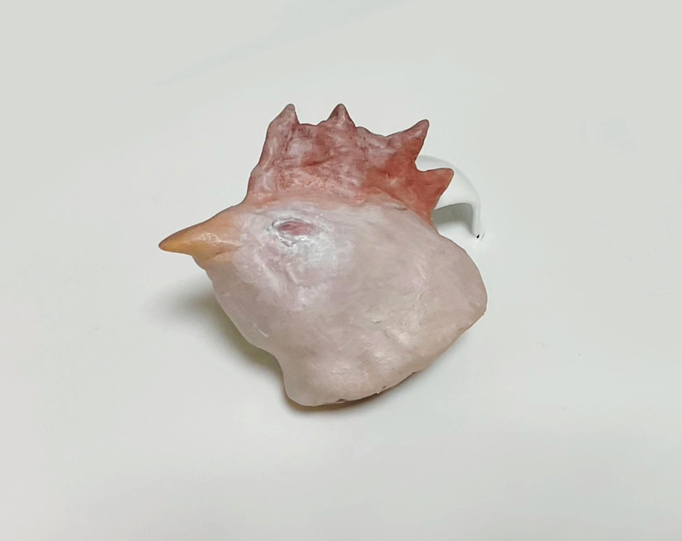 chickenhead-1