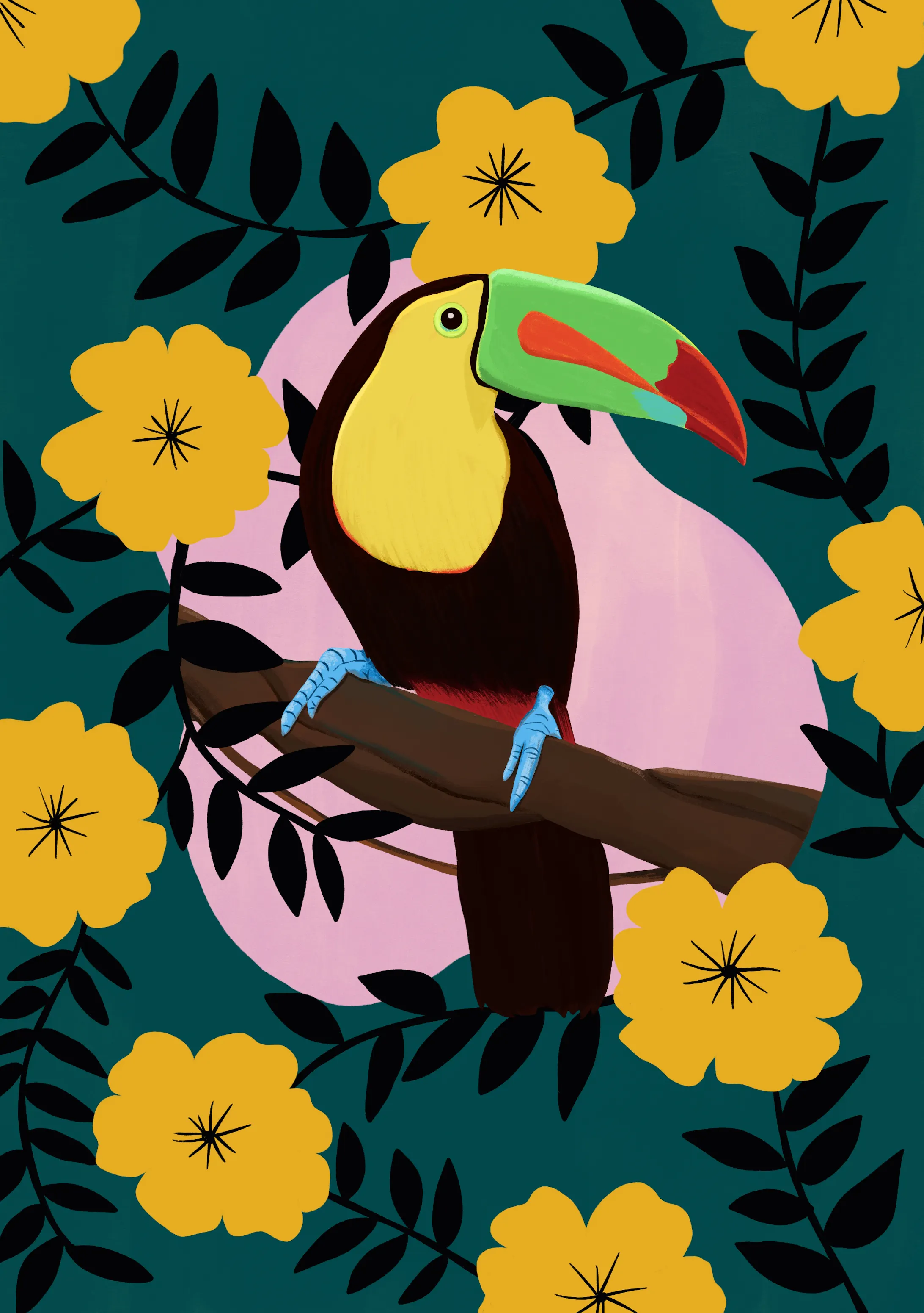 サンショクキムネオオハシ