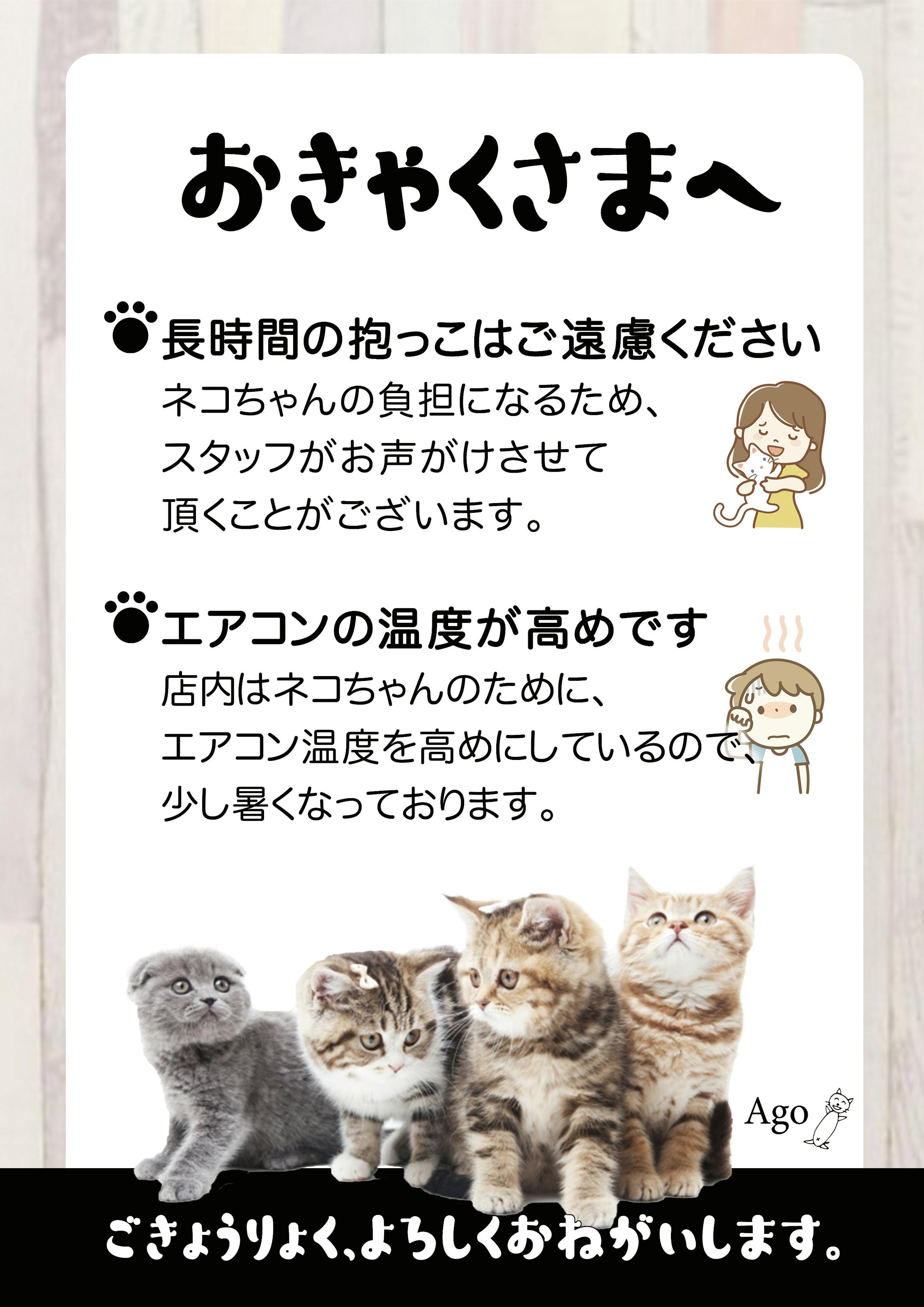 店内チラシ-1
