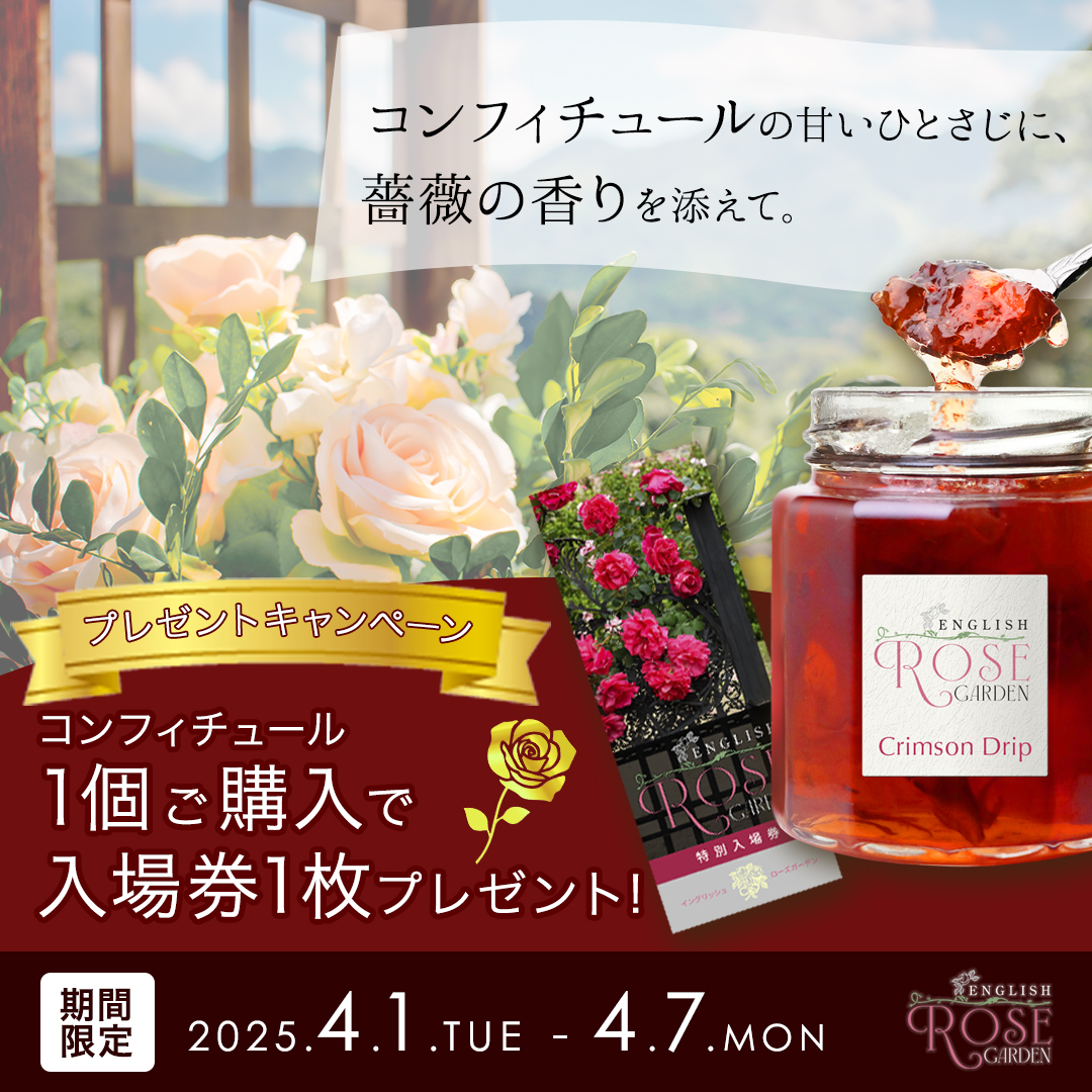 薔薇のコンフィチュール【sample】-1