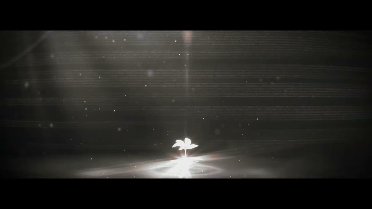 developer、logos