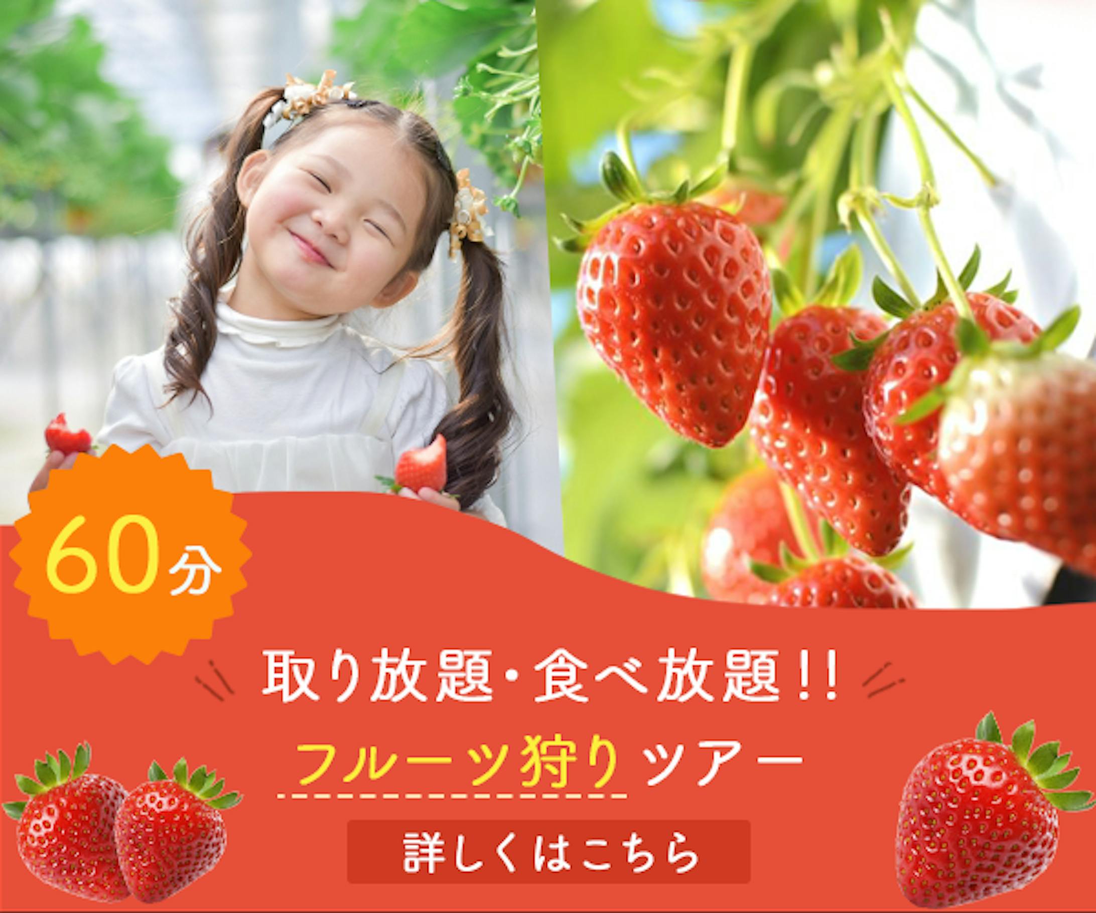 バナー：フルーツ狩り-1