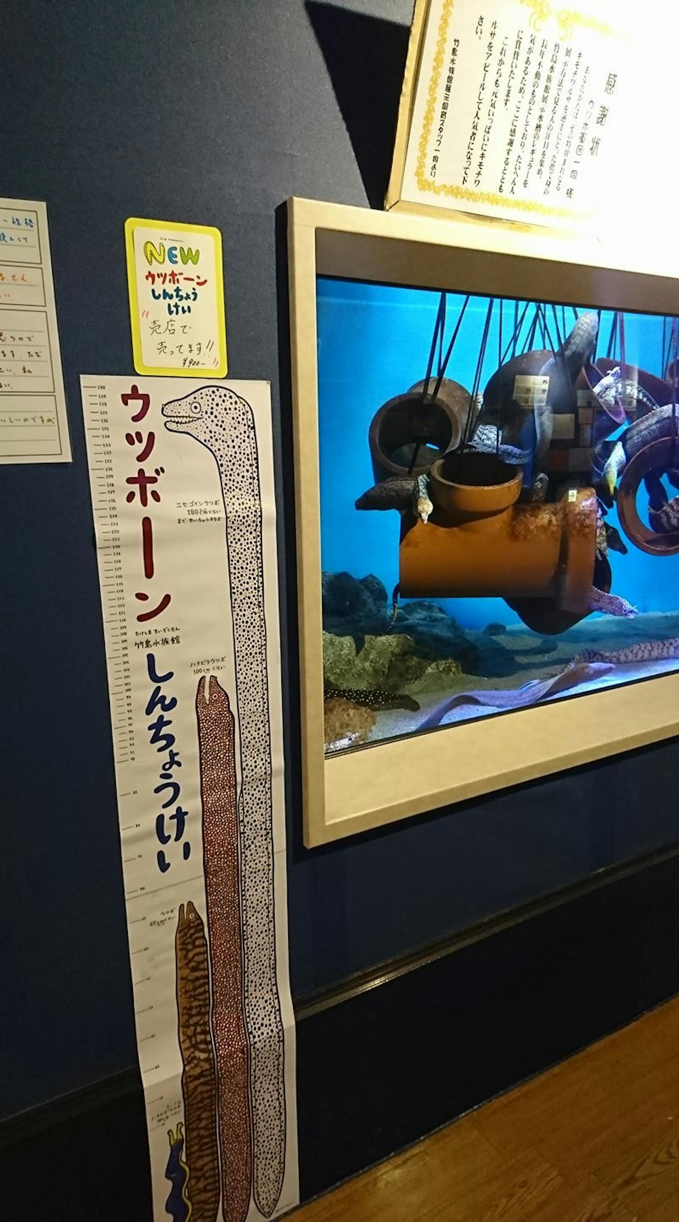 竹島水族館 おみやげ商品-1
