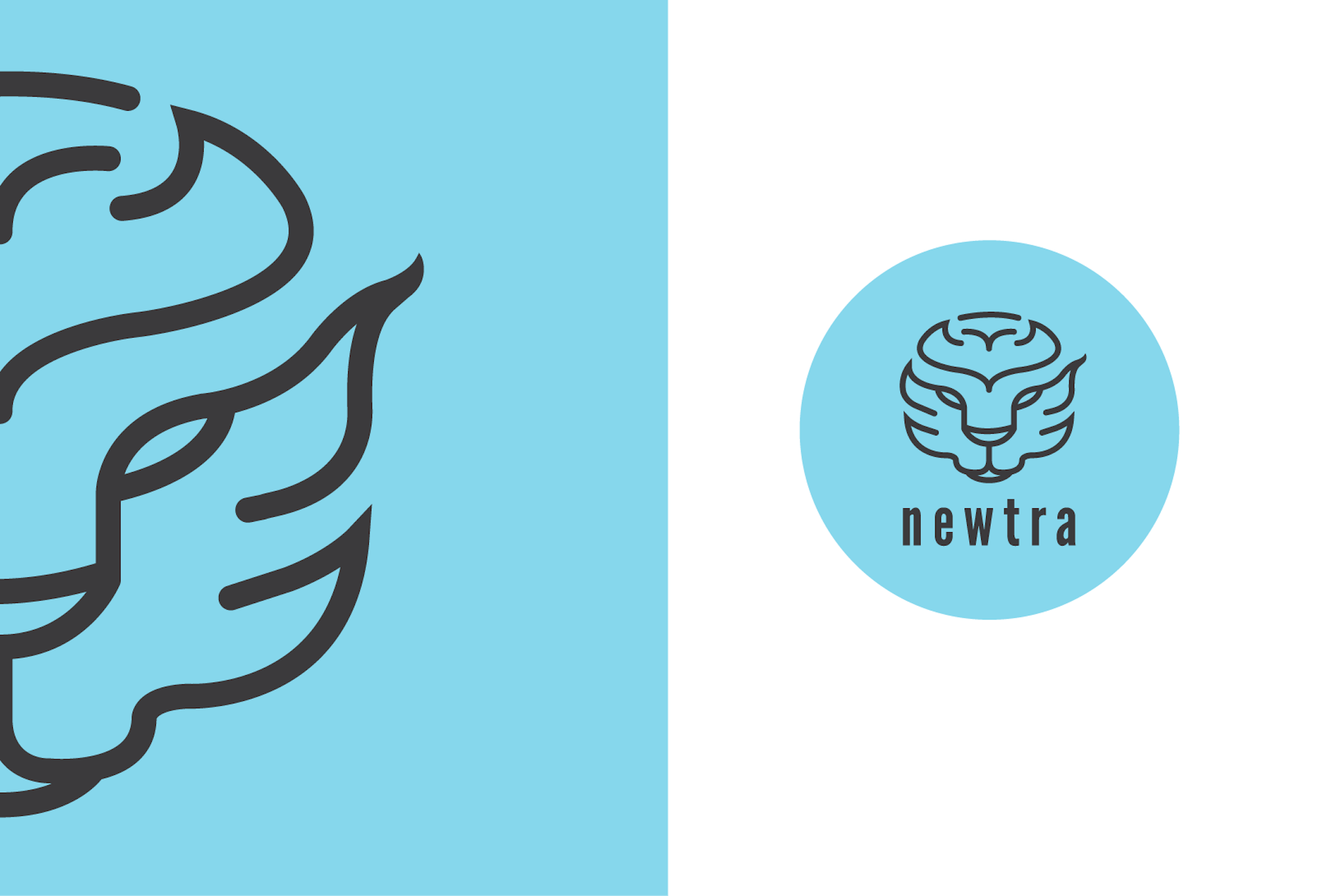 Newtra Protein / Logo & branding-1