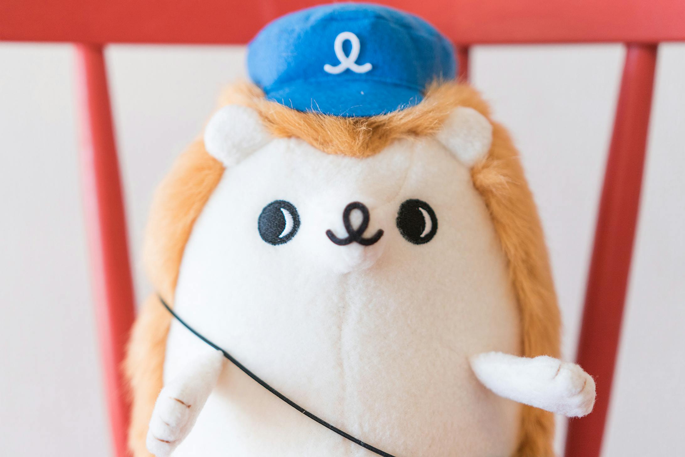 ユメックスネット きゅーたん