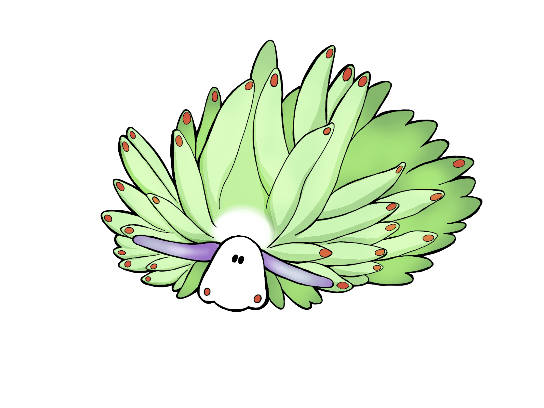 テングモウミウシ テングモウミウシ