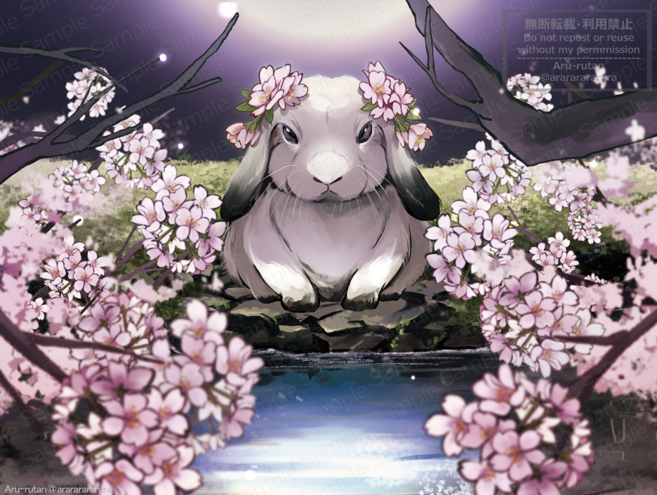 【ACGアニマルカードゲーム】「月姫」-1