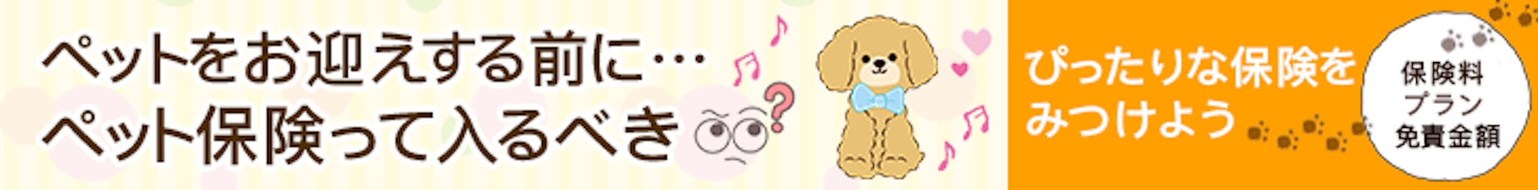【Banner】ペット保険-1