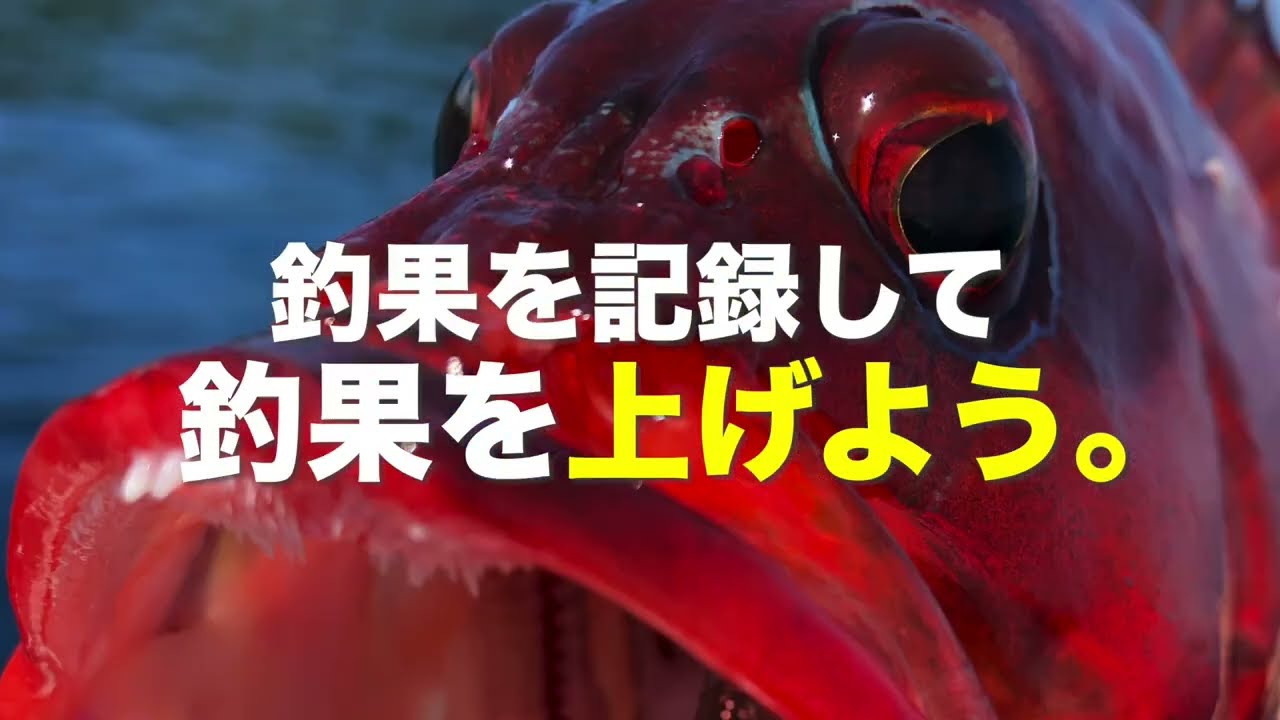 サービス紹介、エディター