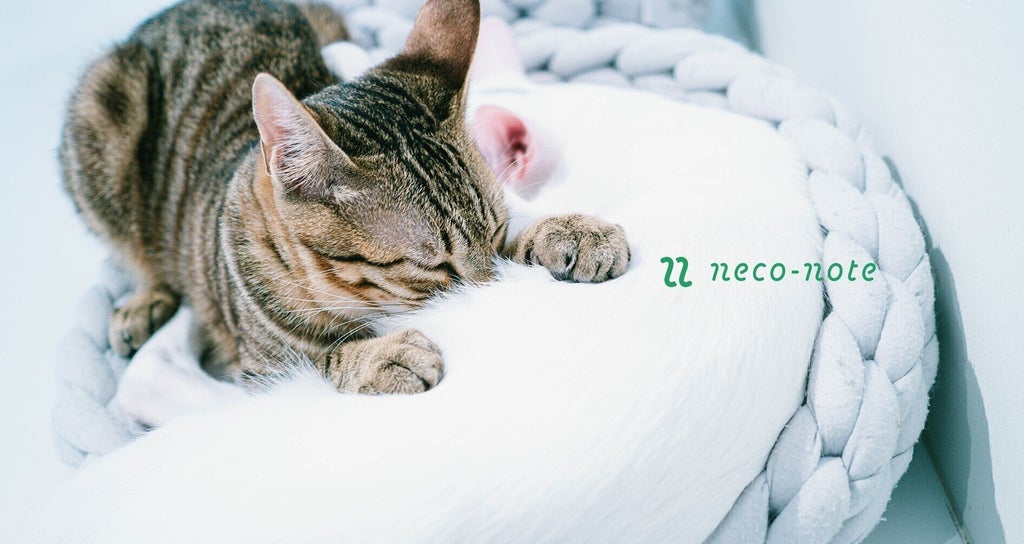 保護猫支援のneco-note｜note運営・編集
