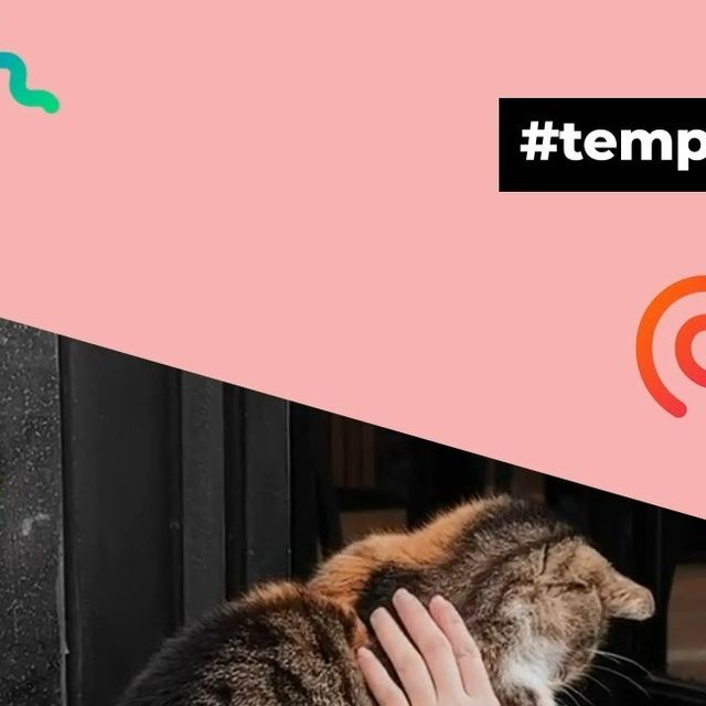 Instagramリール動画