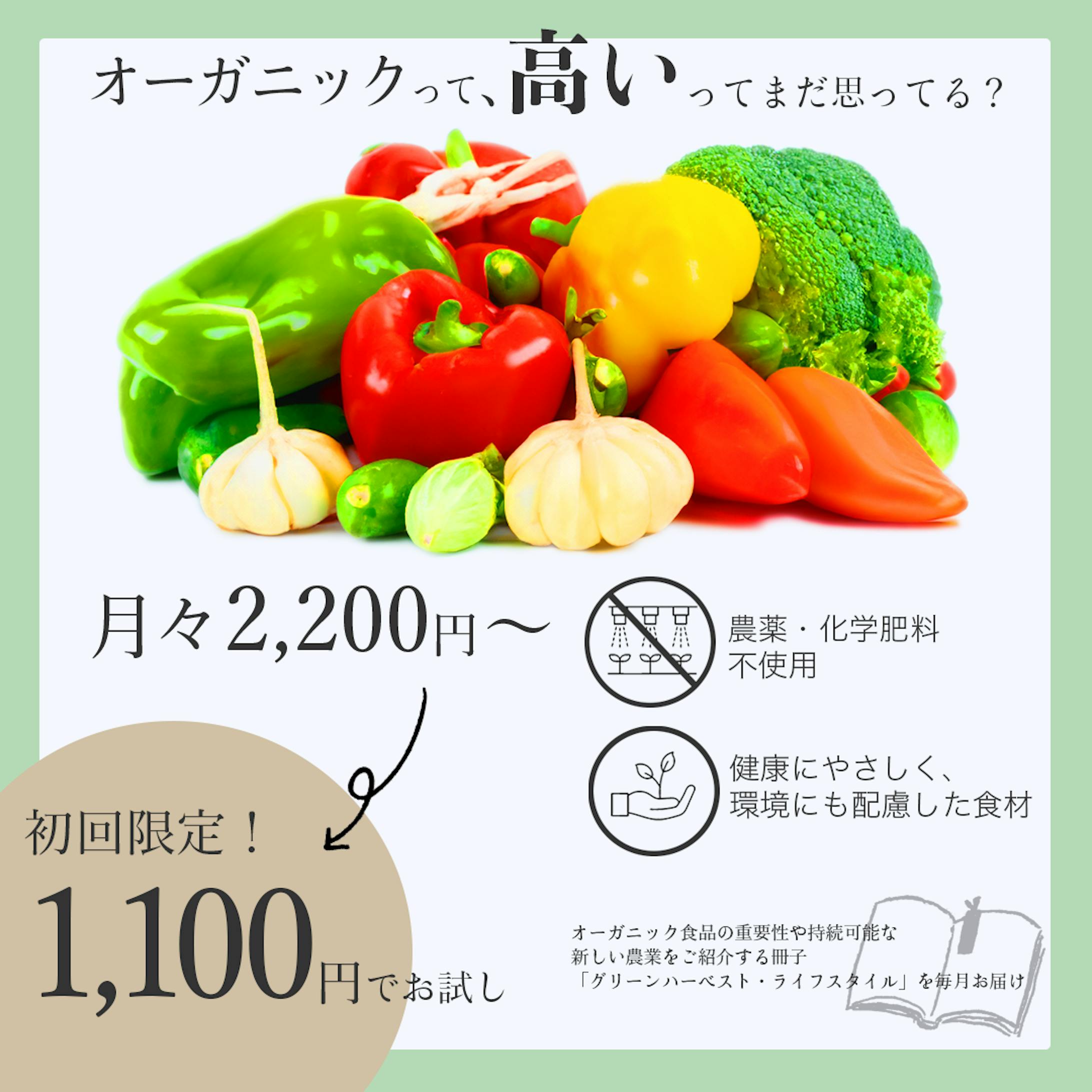 オーガニック野菜定期便-1
