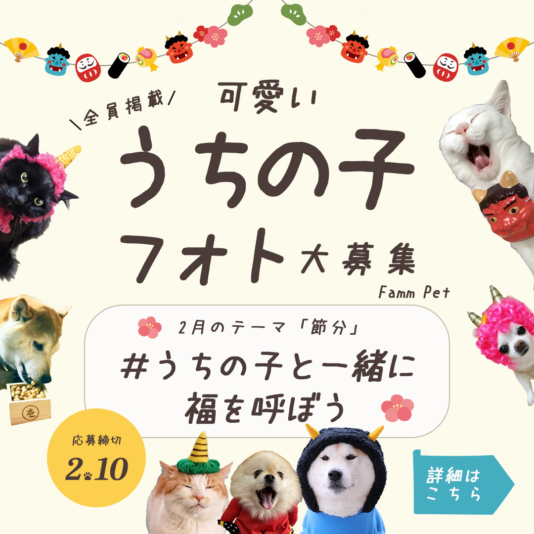 ペットのフォト募集(コンペ作品)-1