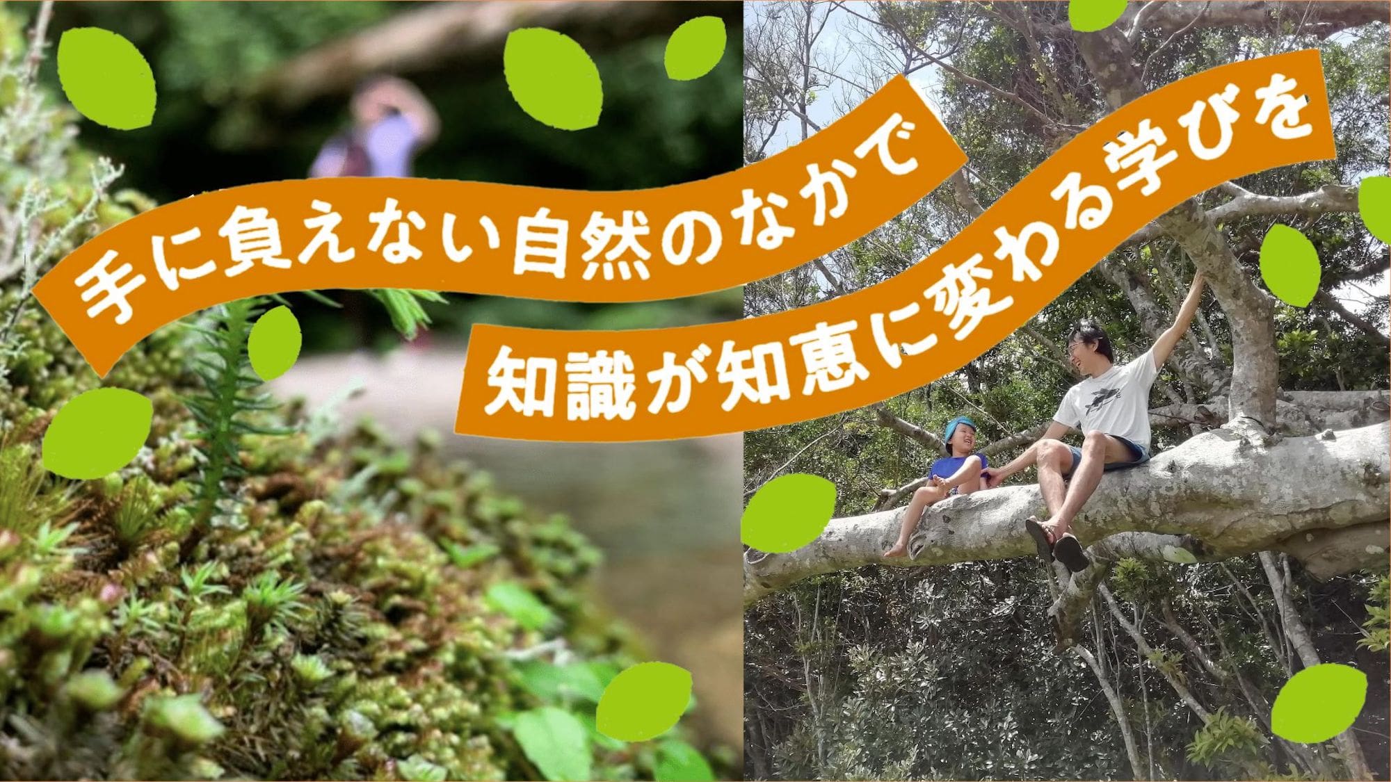 手に負えない自然のなかで知識が知恵に代わる学びを【特集｜島だから学べること】 - 離島経済新聞