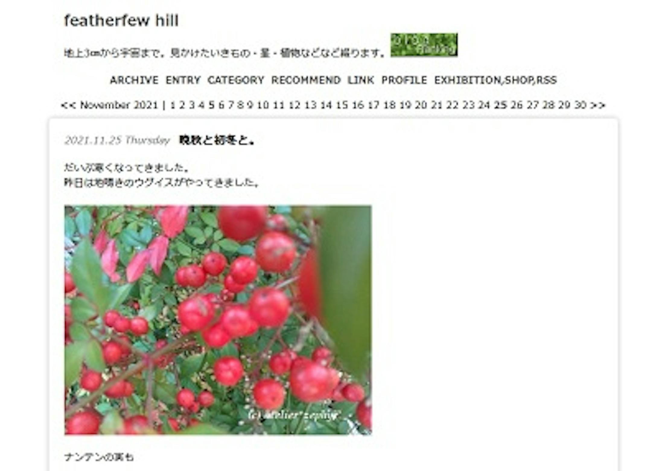 プライベートで続けてきたブログの中にも、大まかに生物の記録があったので、それも確認しながら作りました<br> プライベートで続けてきたブログの中にも、大まかに生物の記録があったので、それも確認しながら作りました<br>