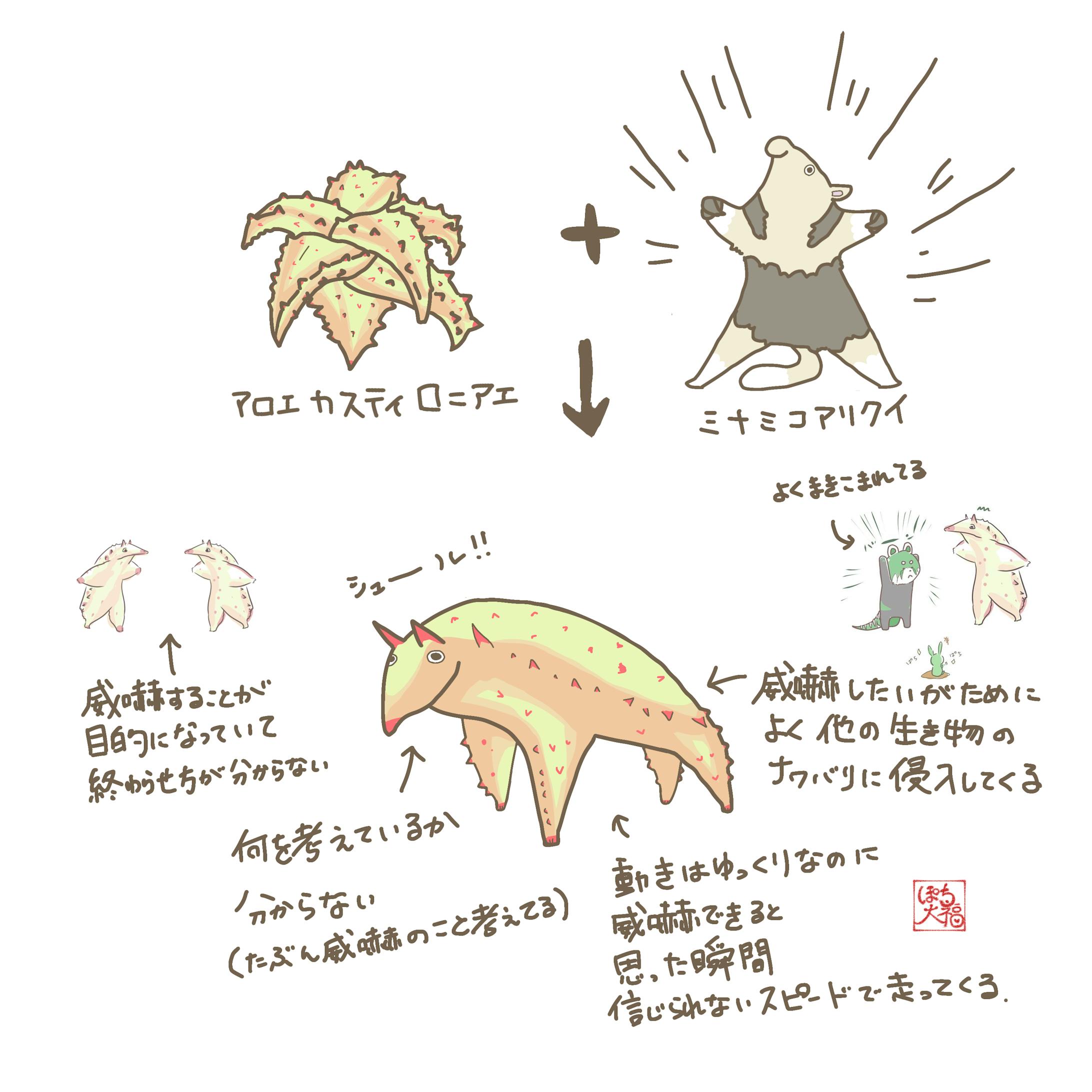 アロエ カスティロニアエ×ミナミコアリクイ