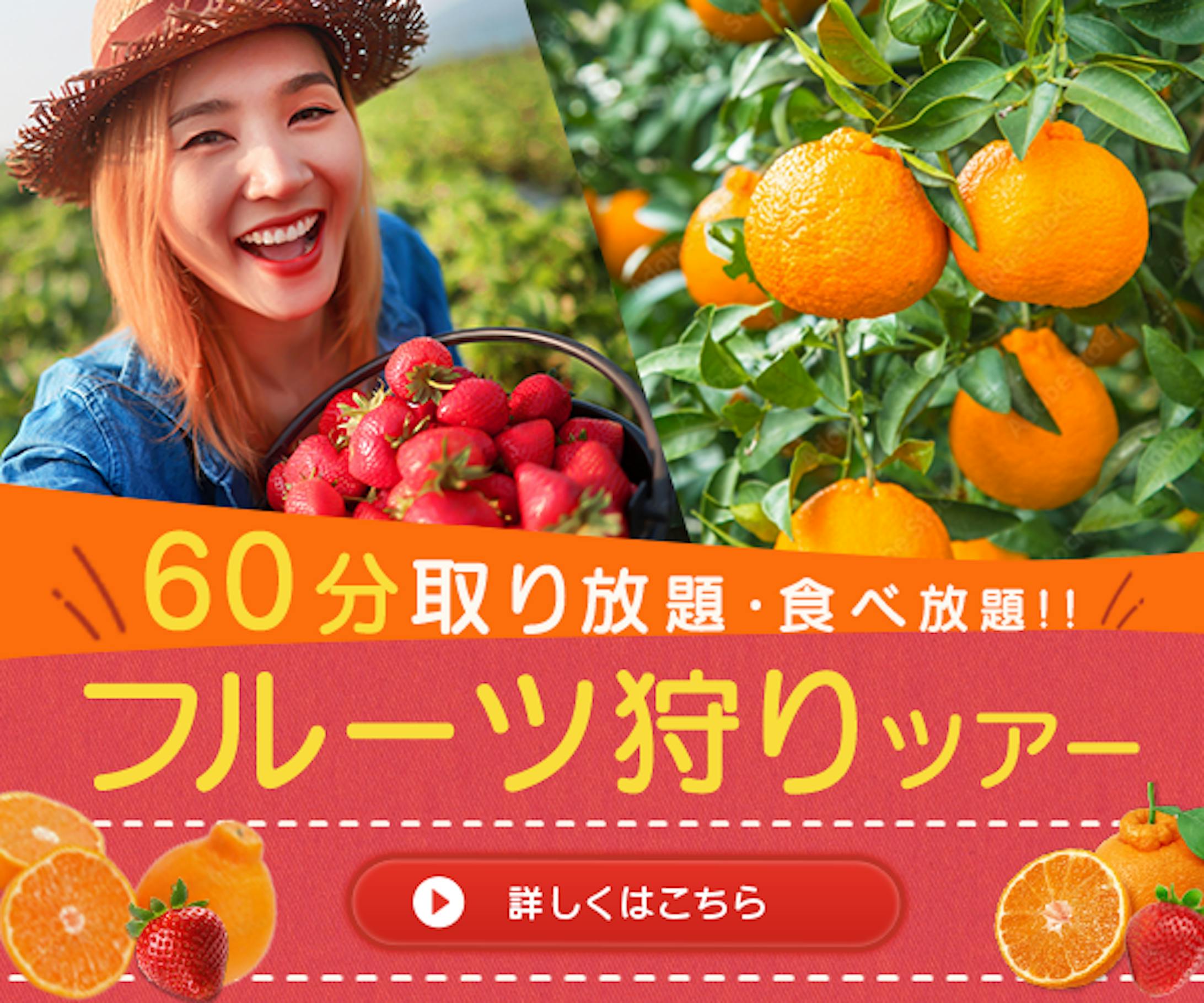 バナー：フルーツ狩り-1