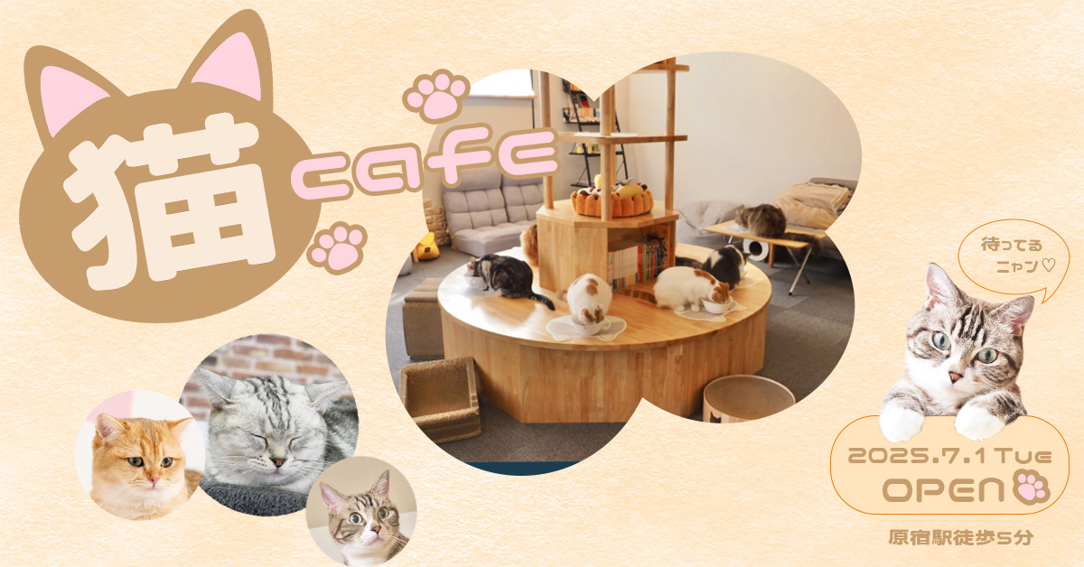 バナー｜猫カフェ-1