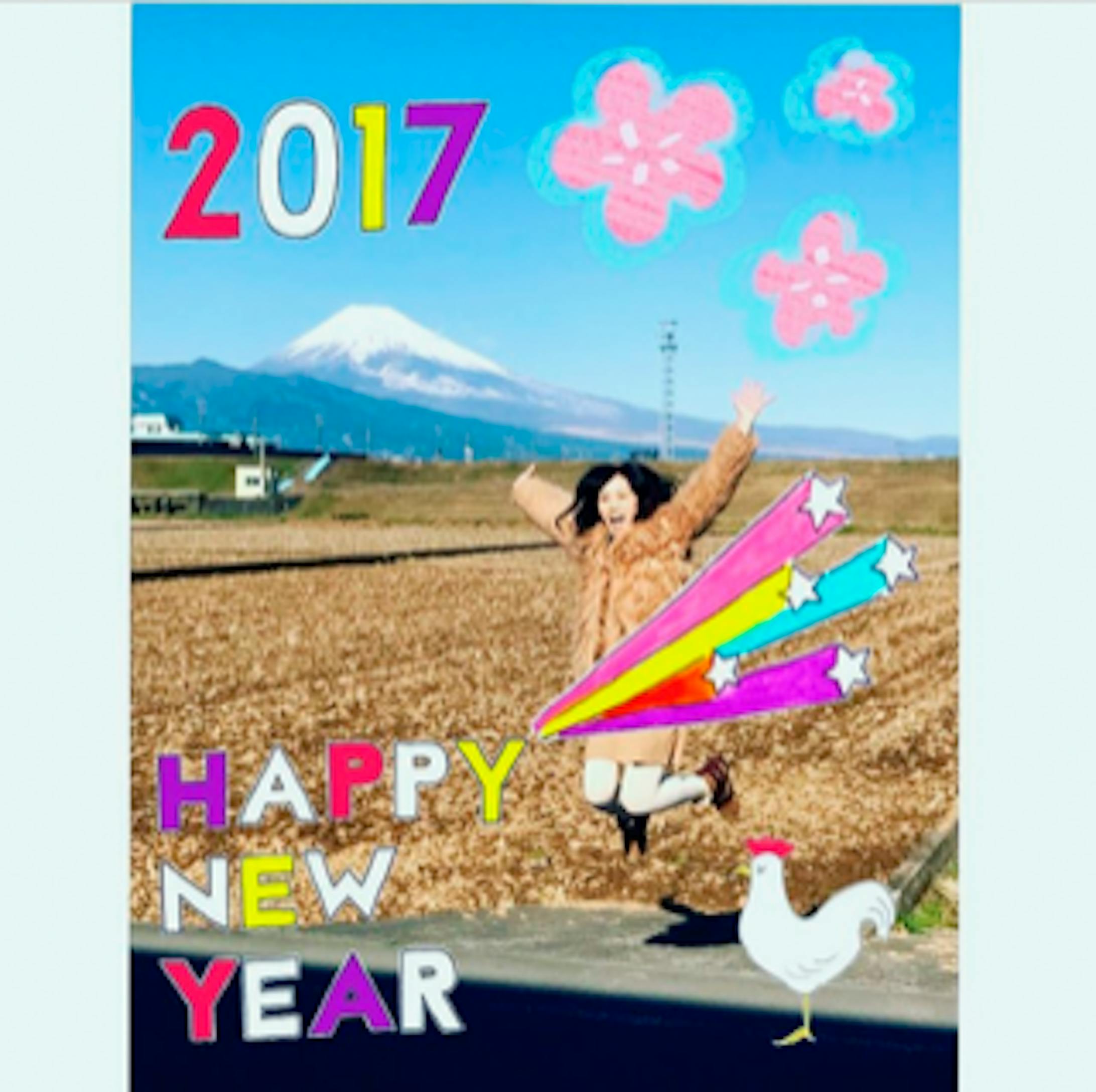 New Year Card 2017-1