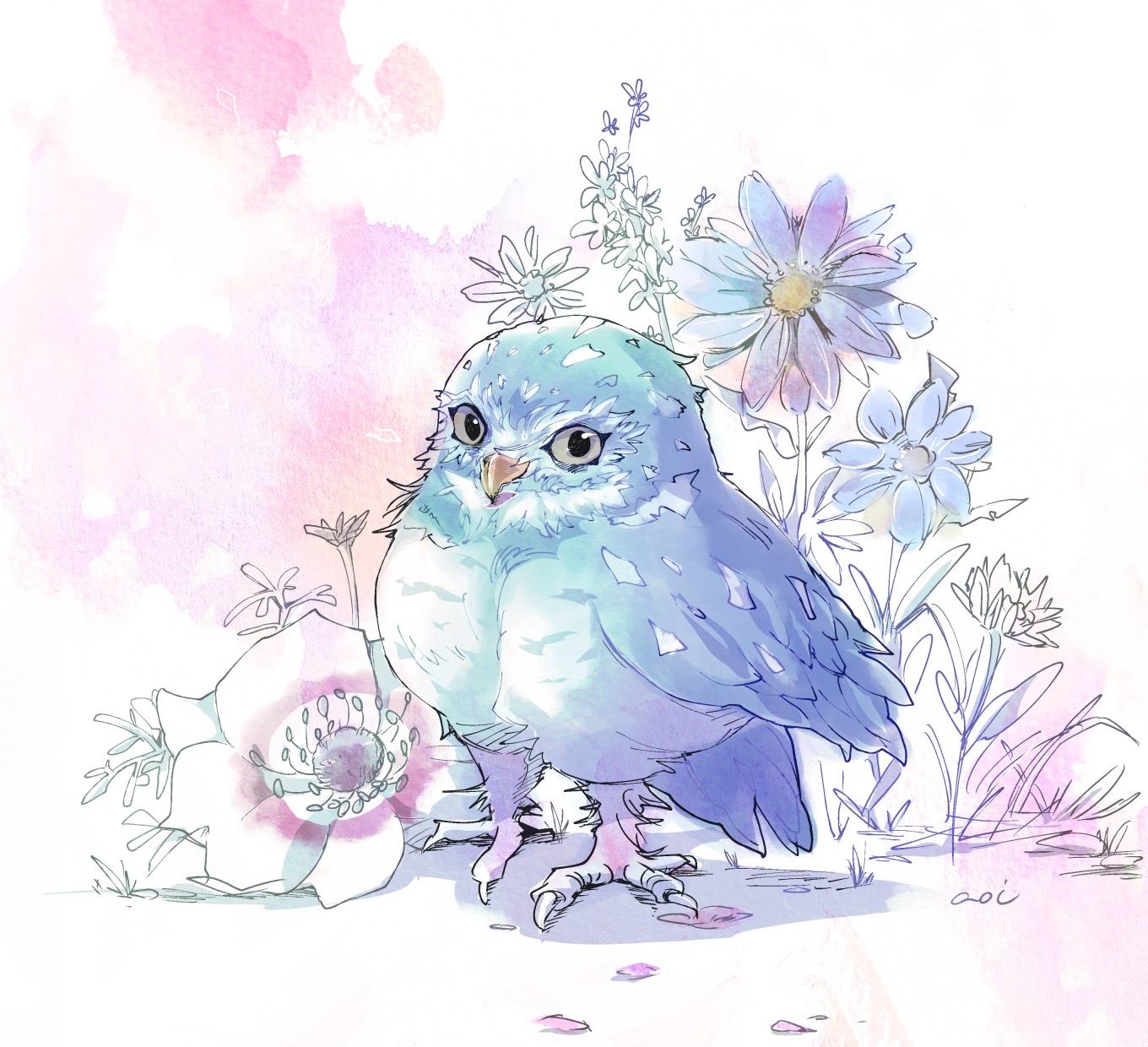 Blue owl.-1