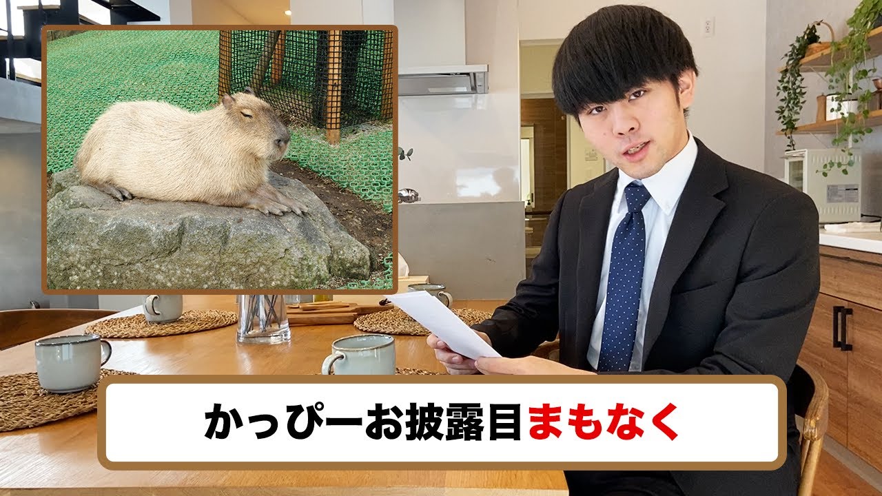 ビジネス系、ニュース
