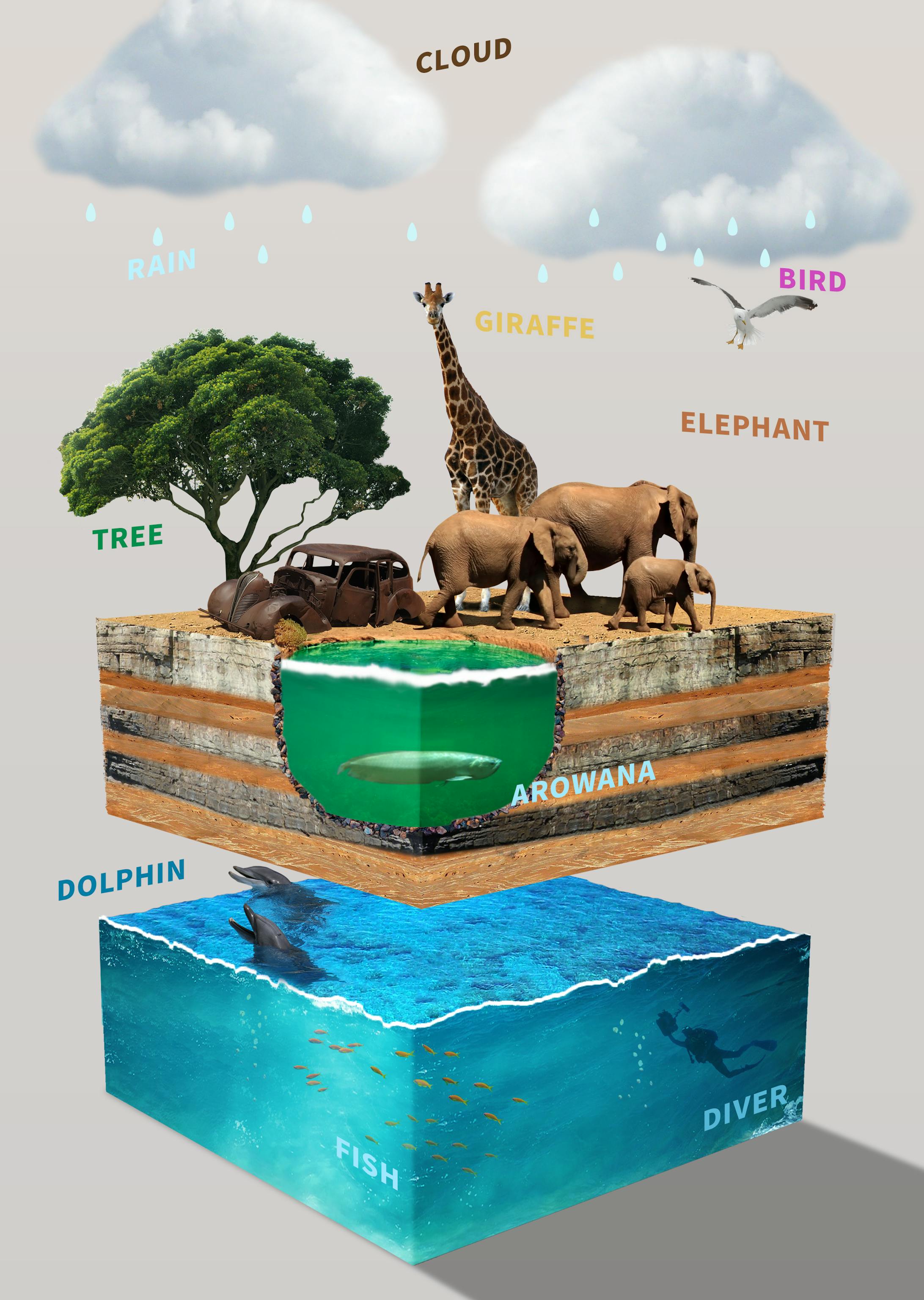 Earth＆Life-1