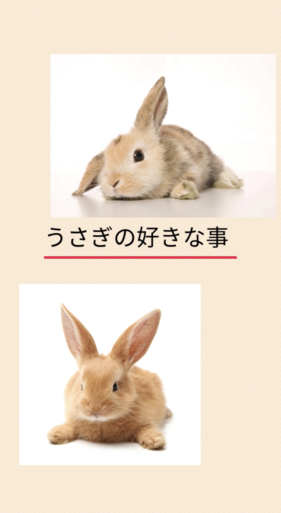 うさぎの好きなこと-1