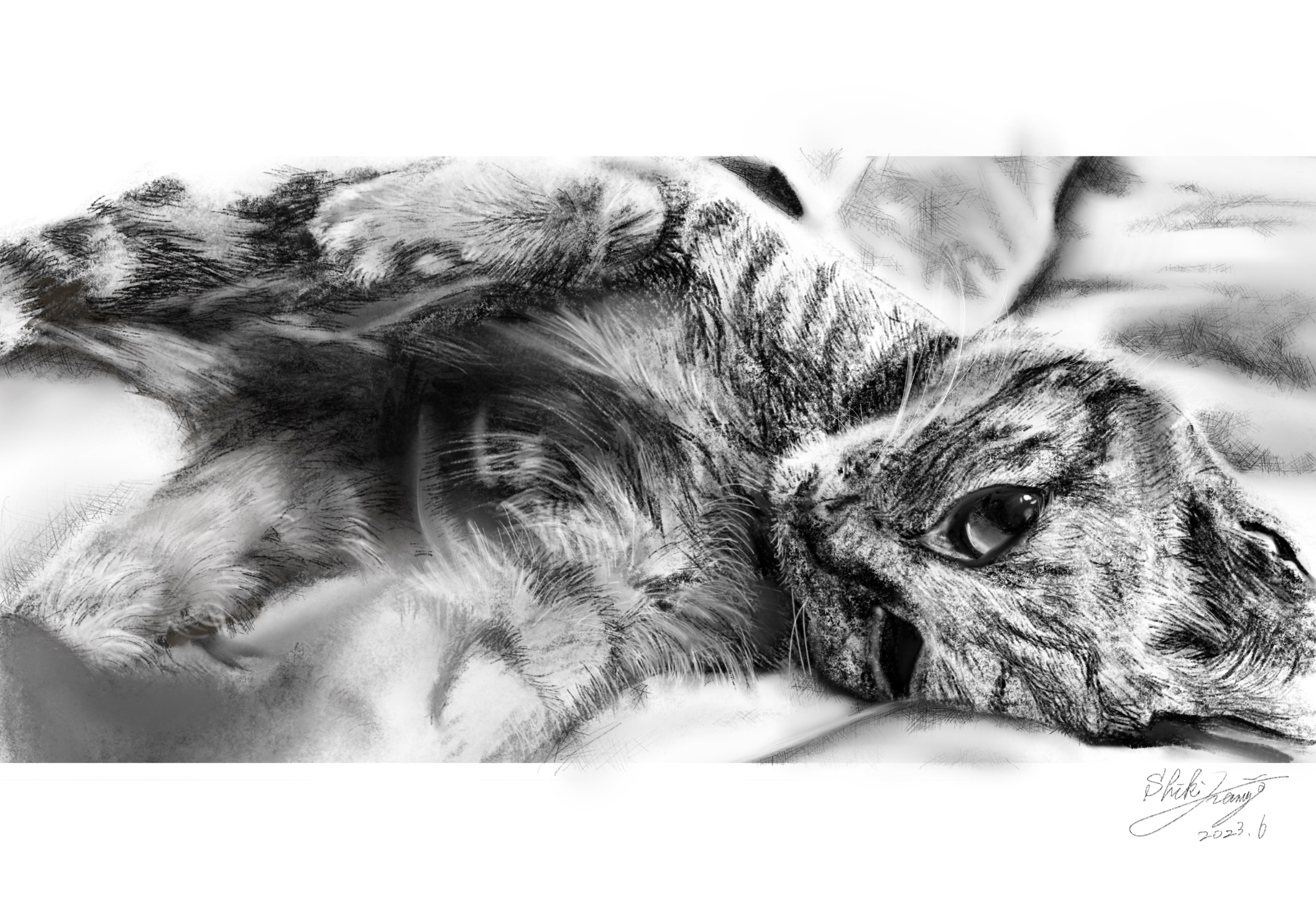 デッサン　猫-1