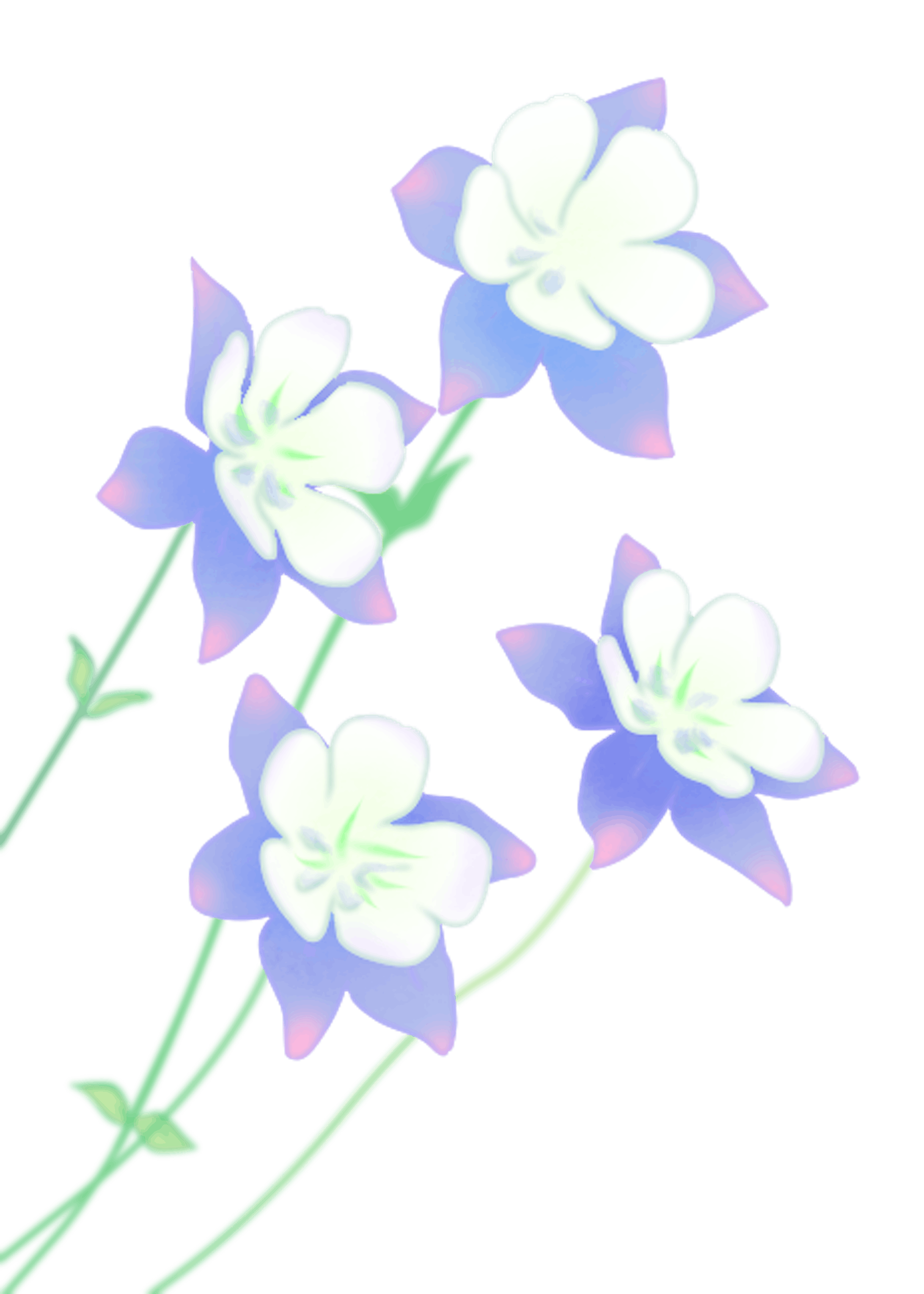 ノウゼンカズラ その他花たち ノウゼンカズラ その他花たち