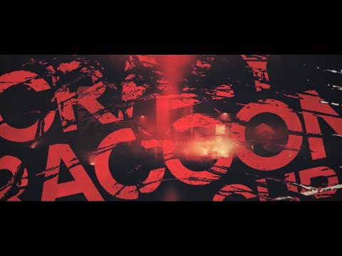 ec商品画像、crazy raccoon