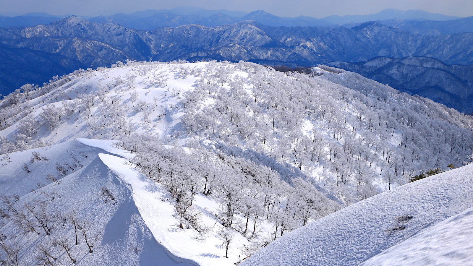 これほど美しい雪山世界があるか!?霧氷王国・福井「銀杏峯〜部子山」縦走の旅