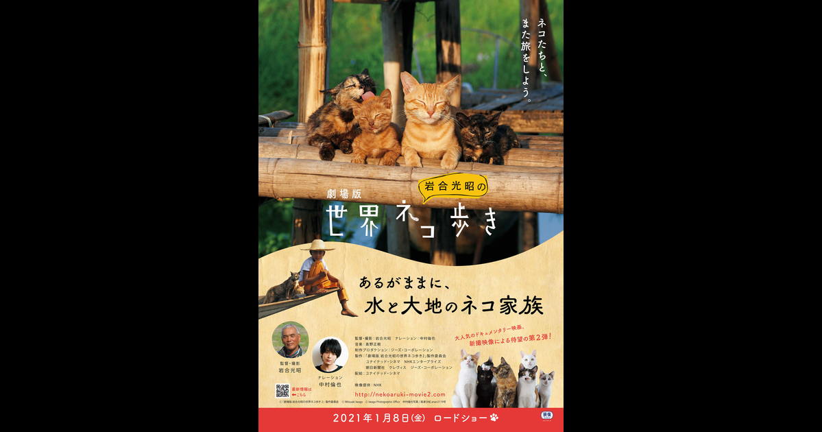 コンペ、映画